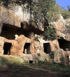 Entre bosques y necrópolis etruscas: el Parque Regional de Marturanum