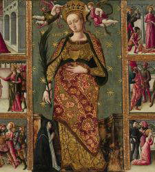 The collection drawn (to dispose of it): the De Silvestri Collection on display in Rovigo
