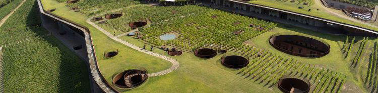 Arte y vino en la Toscana: &iquest;qui&eacute;nes son los mecenas de las bodegas?