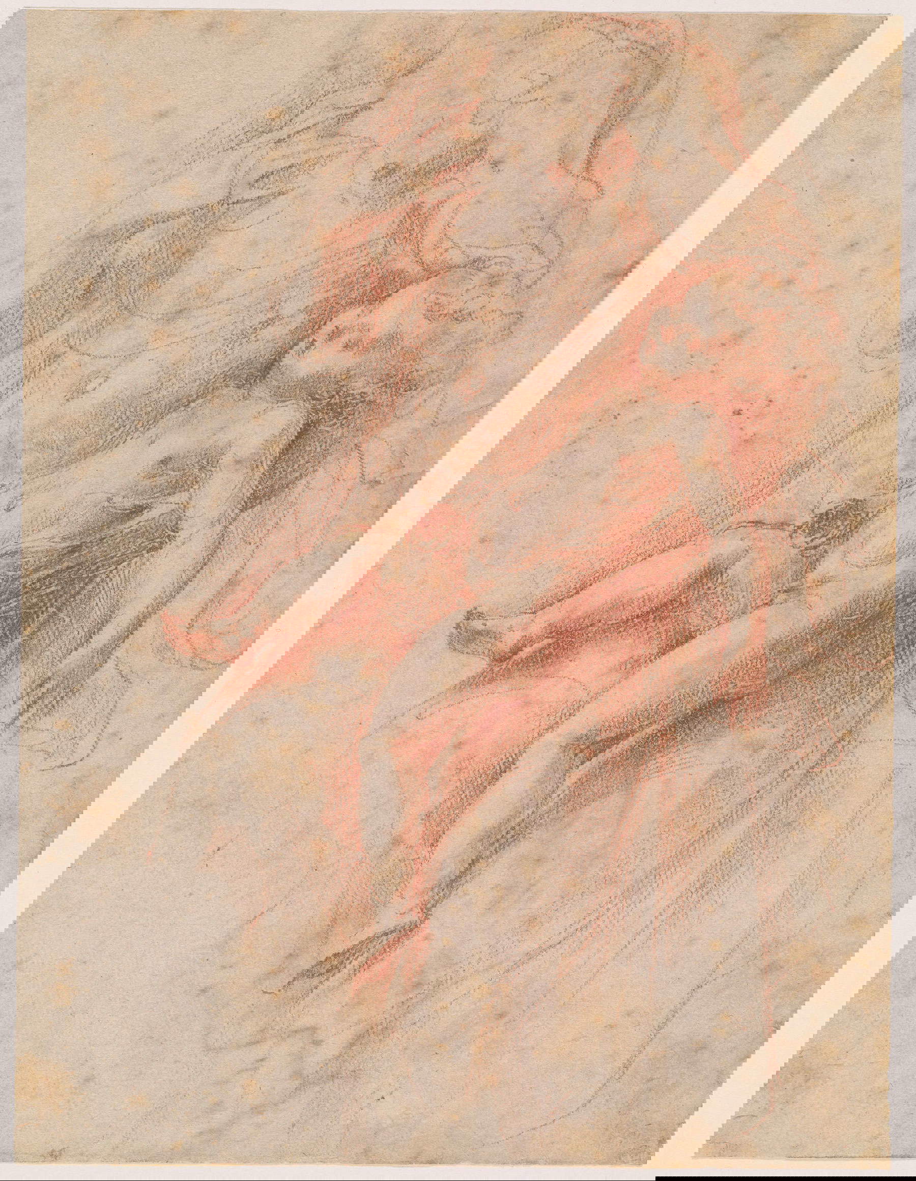 Parmigianino, Estudio para la Virgen del Cuello Largo (c. 1535; sanguina sobre papel, 191 x 144 mm; Nueva York, The Morgan Library and Museum)