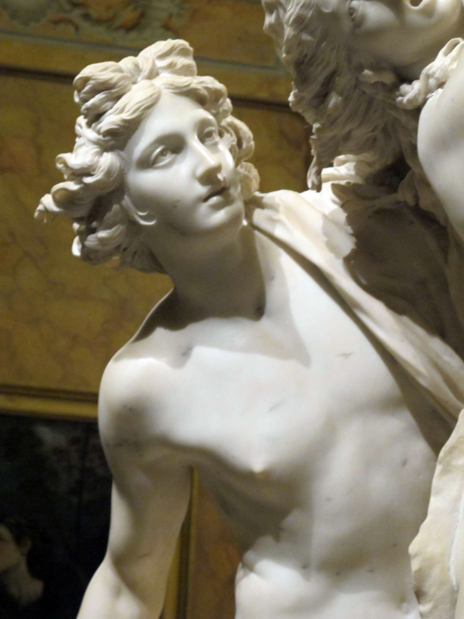 Apollo. Photo: Francesco Bini Apollo. Photo: Francesco Bini