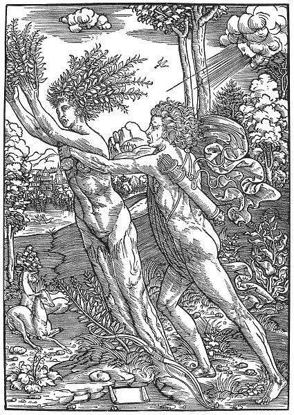 Master IB, Apollo and Daphne (c. 1500-1510; engraving, 295 x 208 mm; Bern, Kunsthalle) Master IB, Apollo and Daphne (c. 1500-1510; engraving, 295 x 208 mm; Bern, Kunsthalle)