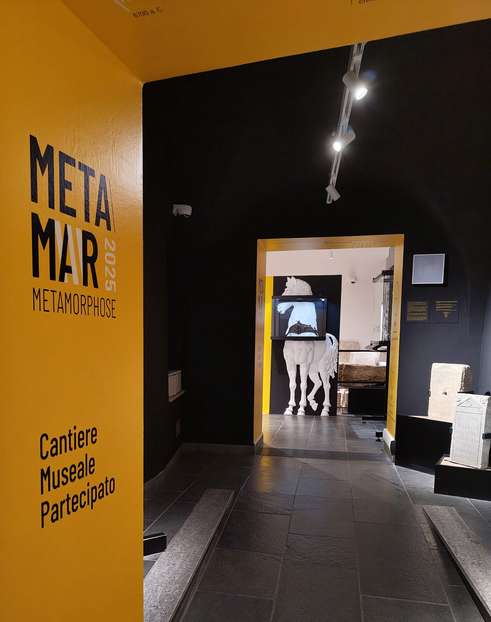 Meta/Mar Meta/Mar