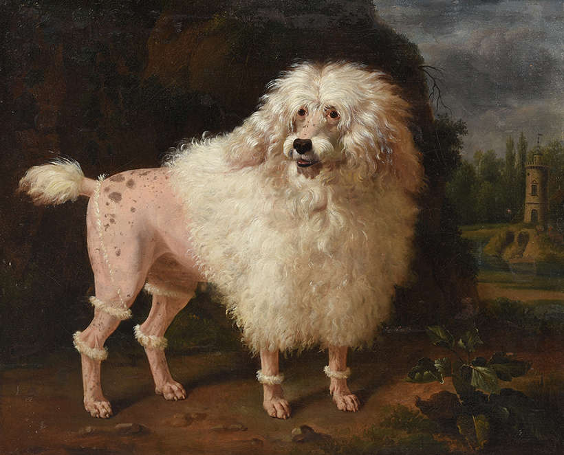 Jean-Baptiste Oudry, Portrait of a Poodle (oil on canvas)
