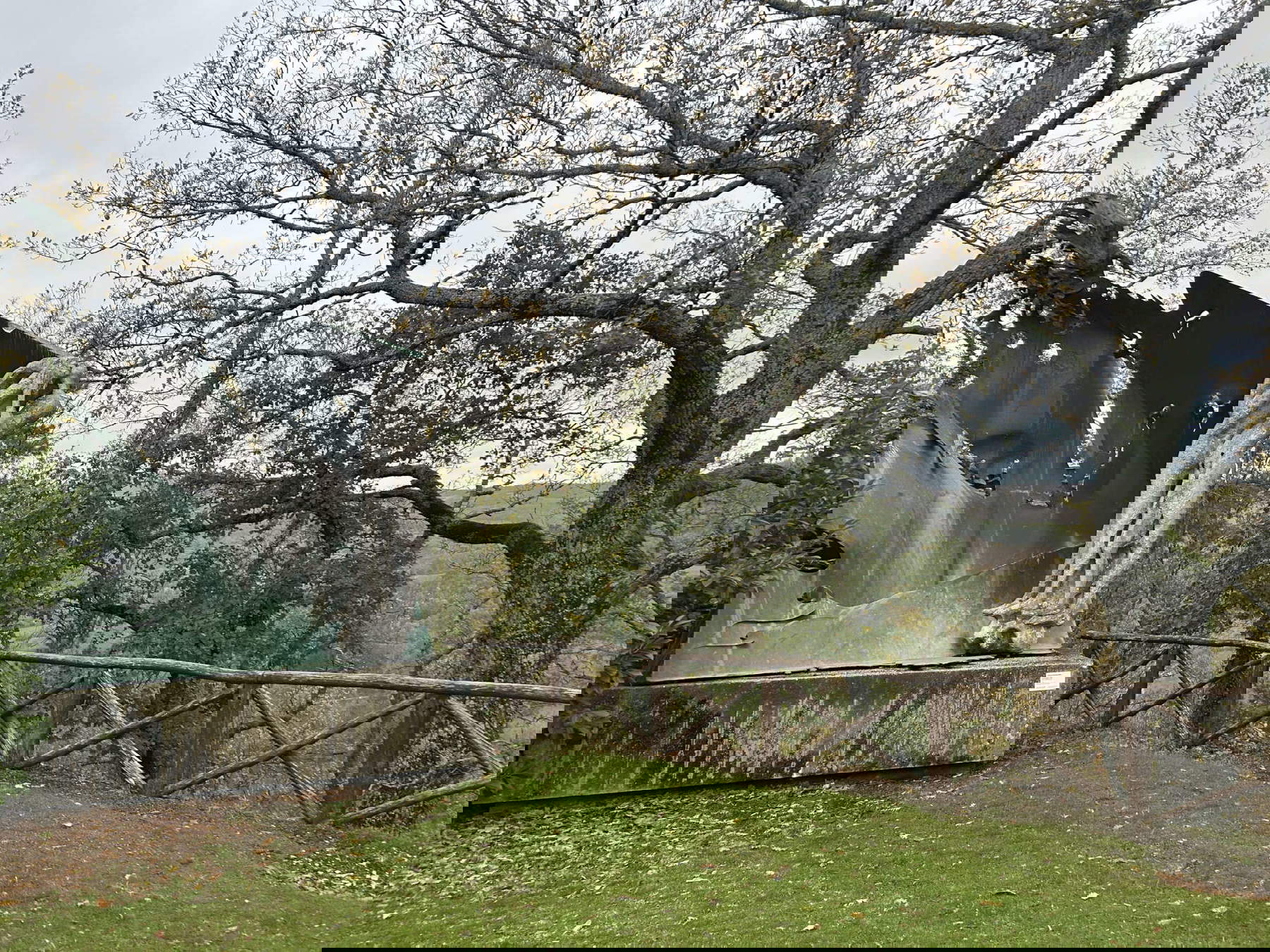 The sculpture garden