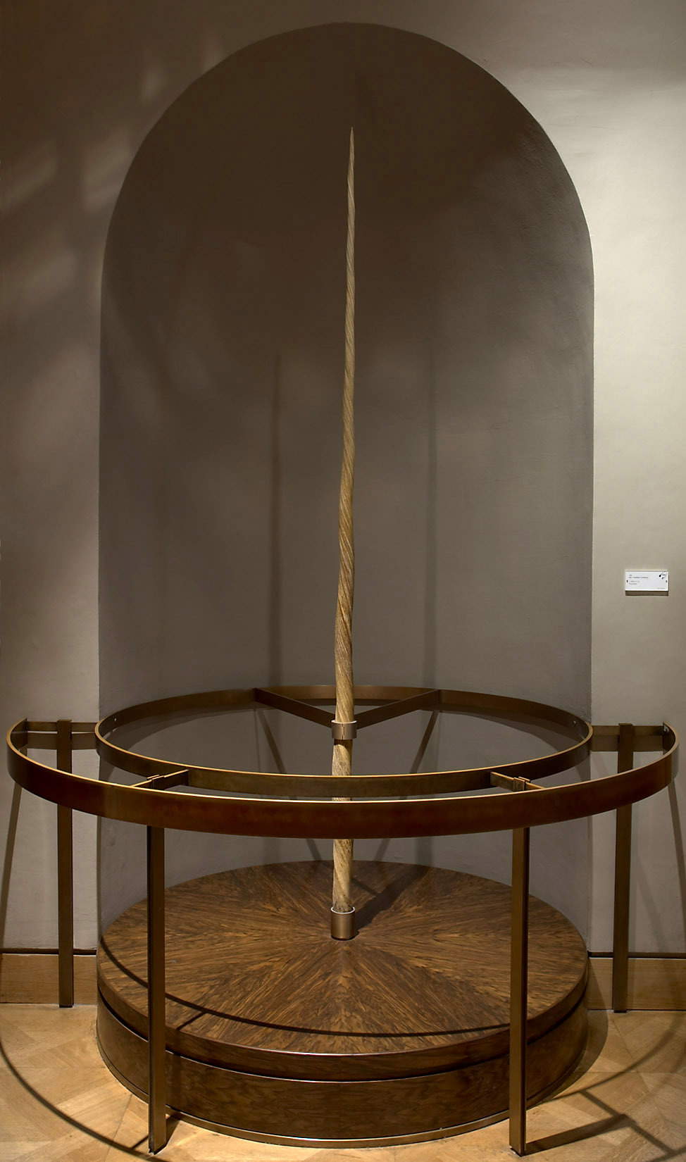 Narwhal horn (16th century; length 243 cm; Vienna, Kunsthistorisches Museum) Narwhal horn (16th century; length 243 cm; Vienna, Kunsthistorisches Museum)