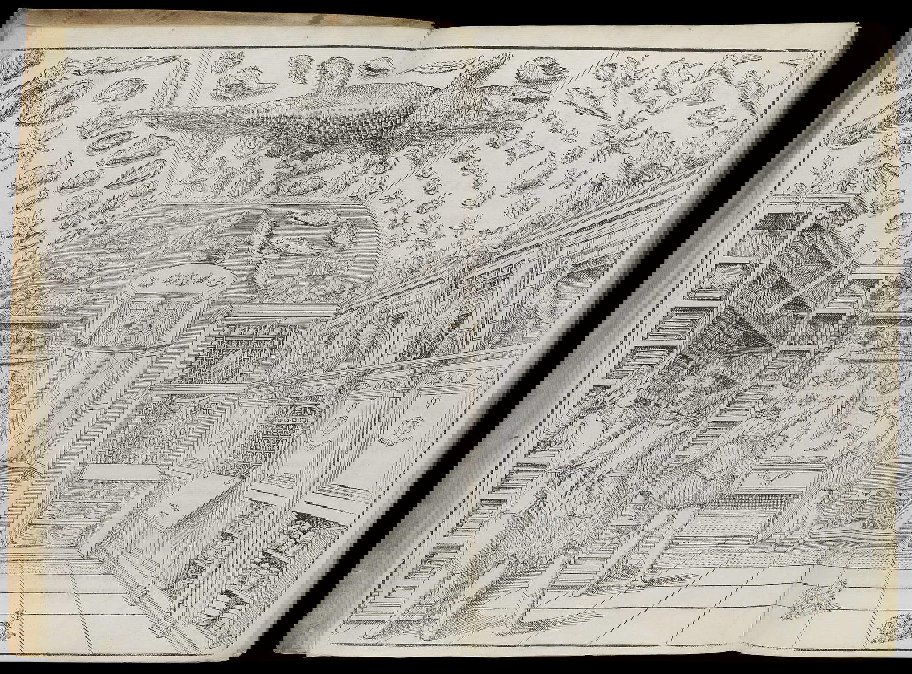 Dell'Historia naturale, engraving from the volume of Ferrante Imperato, Naples 1599 Dell'Historia naturale, engraving from the volume of Ferrante Imperato, Naples 1599