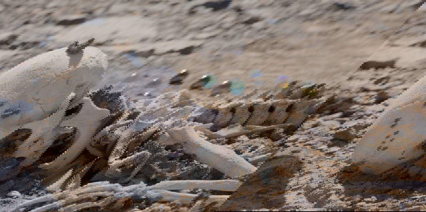 Pierre Huyghe, Camata Pierre Huyghe, Camata