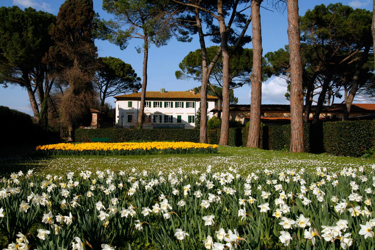 Fattoria Montellori, Fucecchio. Foto: Fattoria Montellori Fattoria Montellori, Fucecchio. Foto: Fattoria Montellori