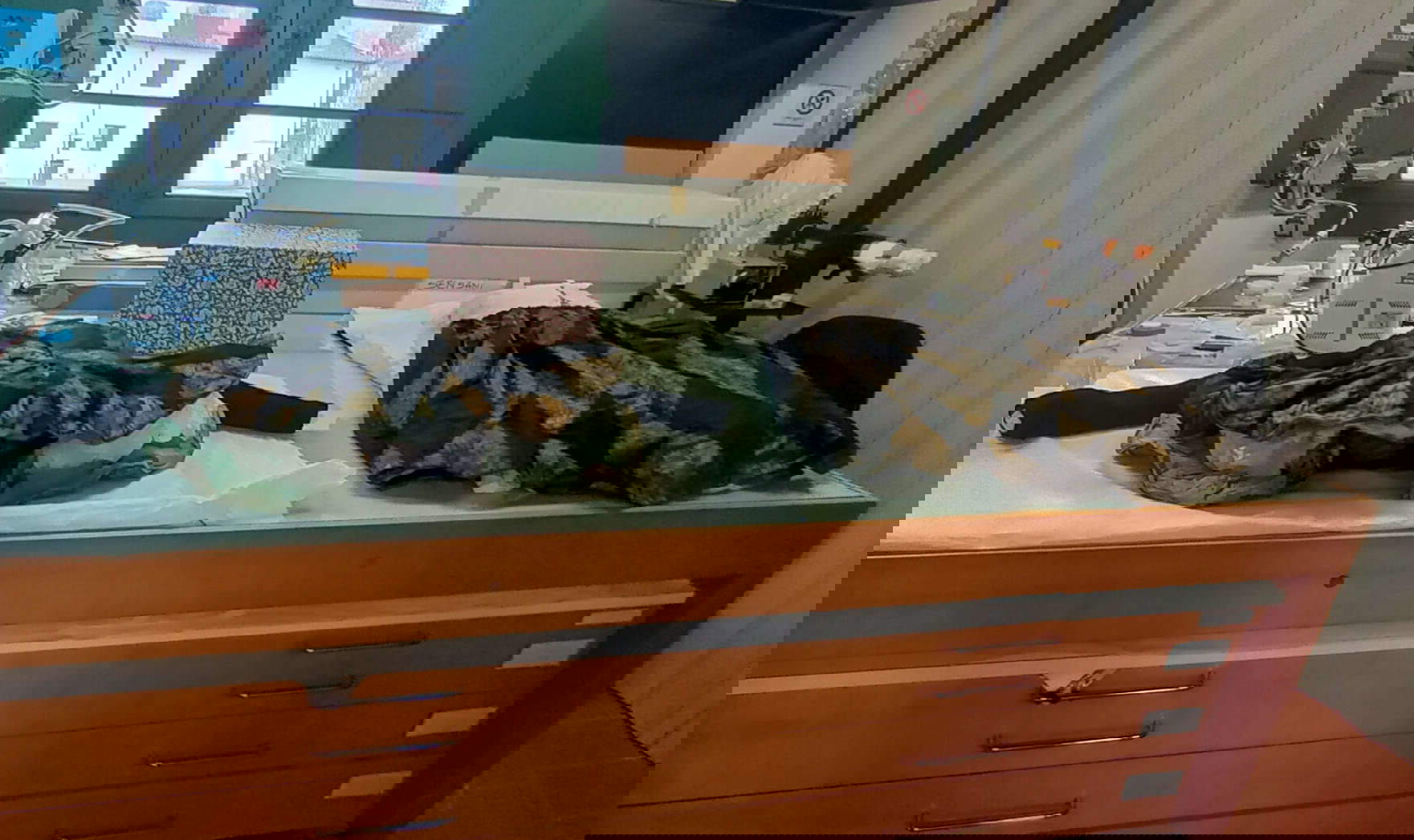 Costumi di Gino Carlo Sensani