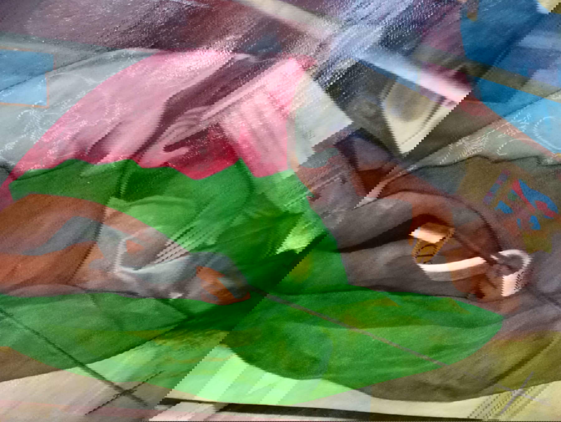 La Madonna coi Santi di Bellini