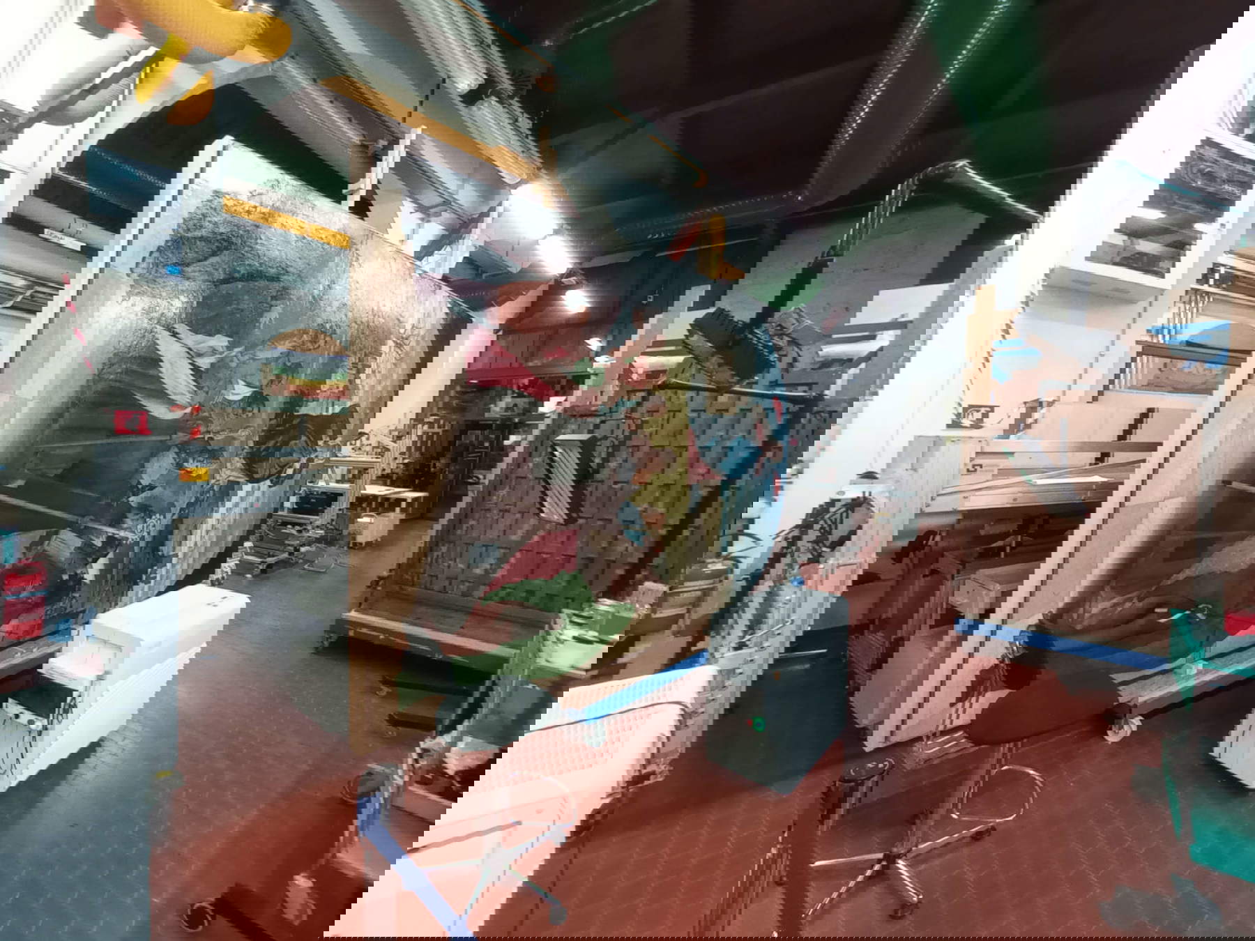 La Madonna coi Santi di Bellini