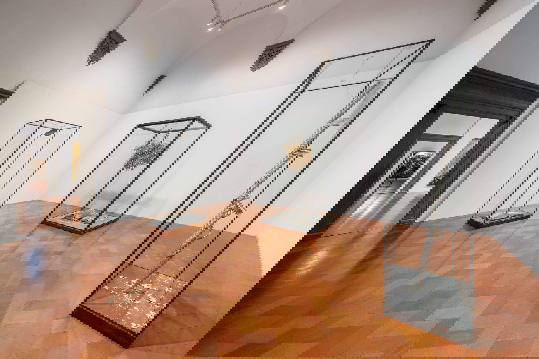 Arrangements for the exhibition Anselm Kiefer. Fallen Angels