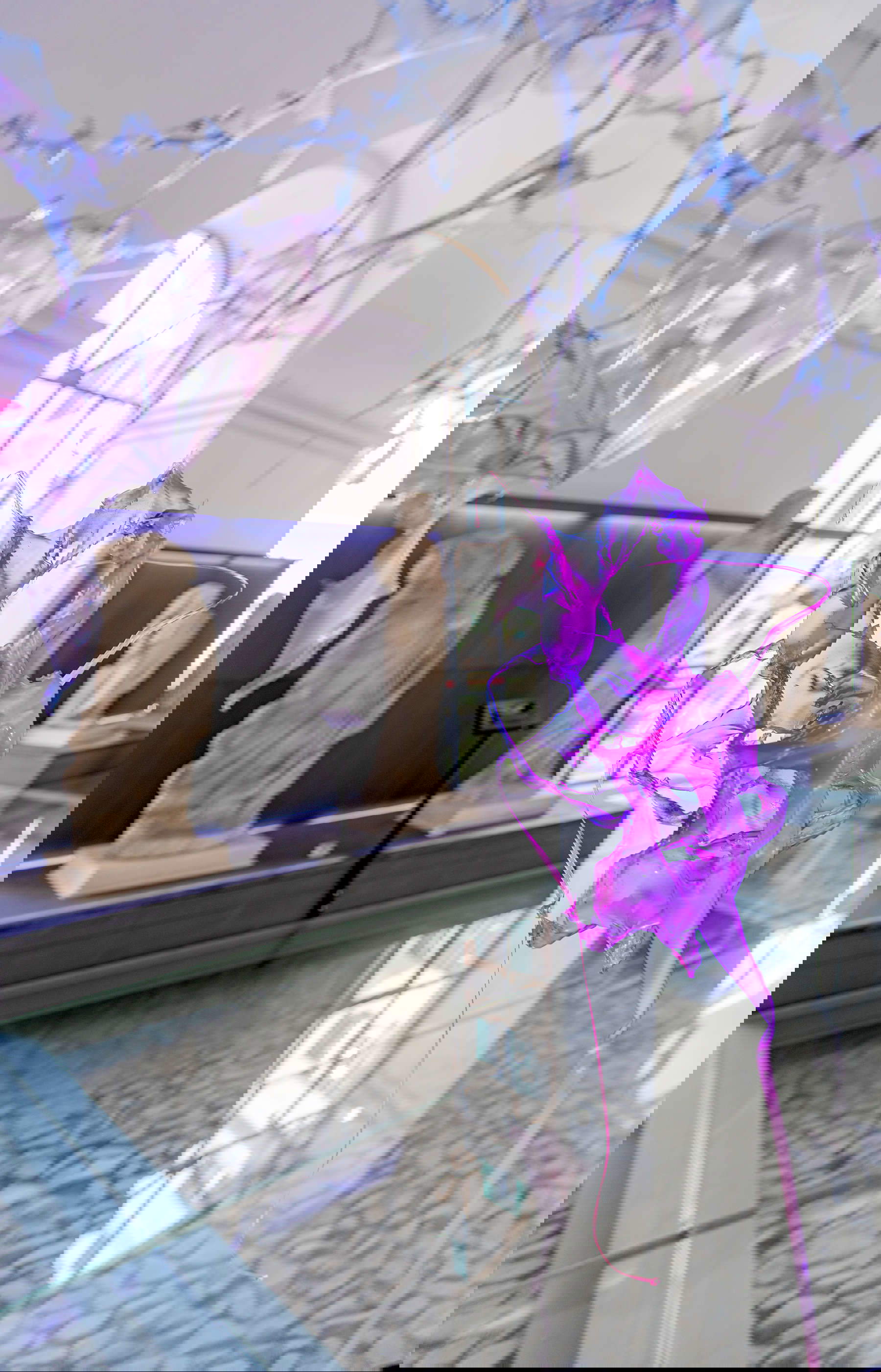 Aljoscha, Blooming Skin on Brain Paradise (2023; instalación) Aljoscha, Blooming Skin on Brain Paradise (2023; instalación)