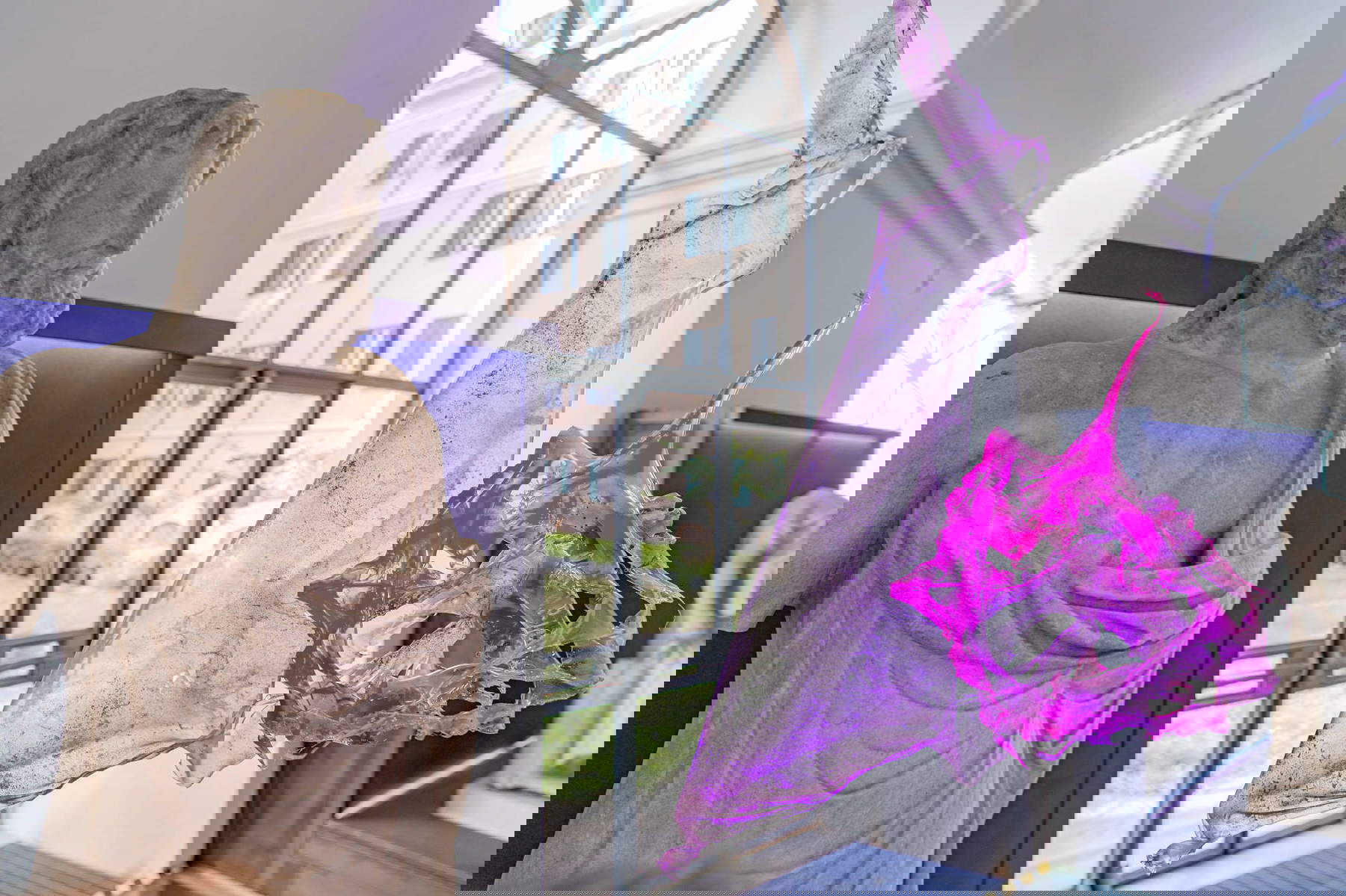 Aljoscha, Blooming Skin on Brain Paradise (2023; instalación) Aljoscha, Blooming Skin on Brain Paradise (2023; instalación)