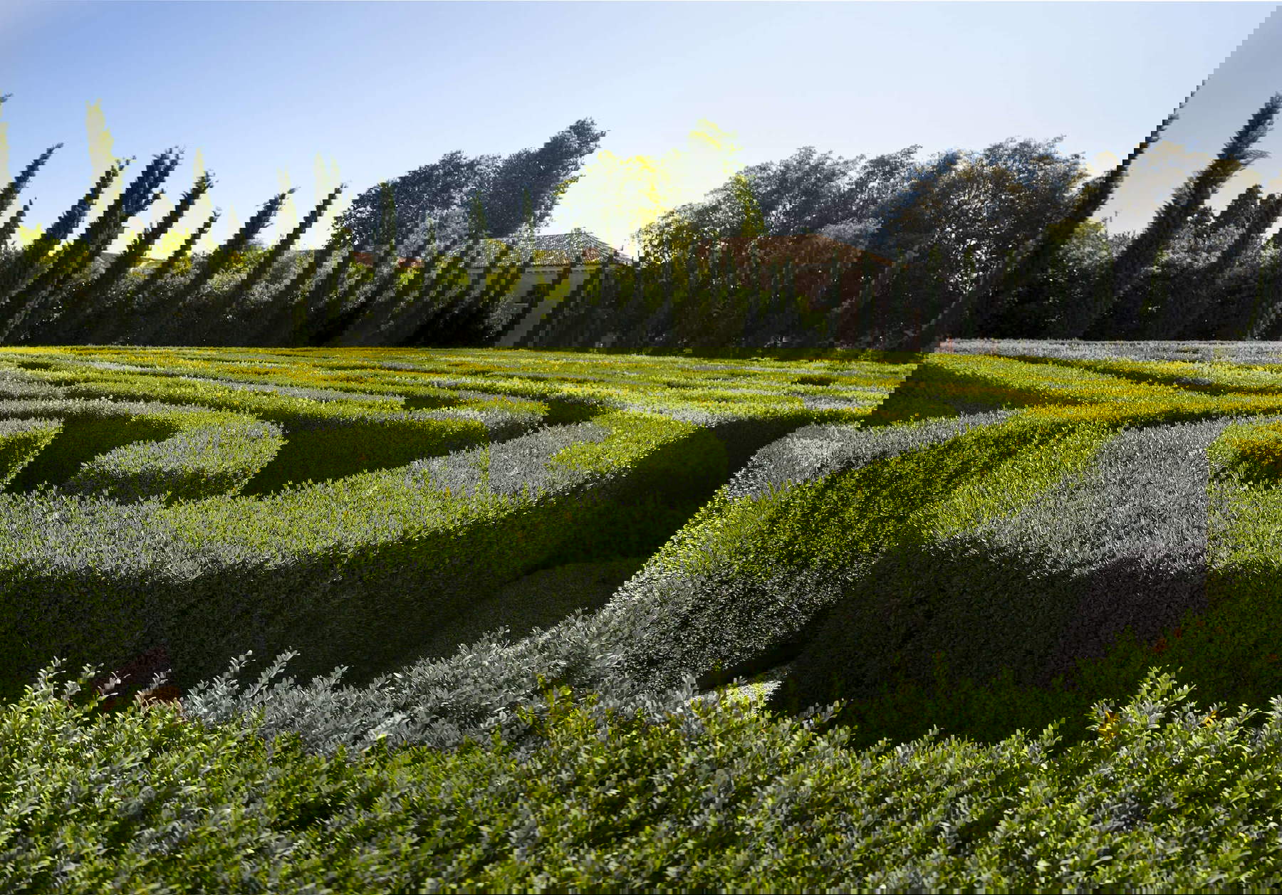 Zwischen den Hecken des Borges-Labyrinths, Venedig, Insel von San Giorgio. Foto: Matteo De Fina Zwischen den Hecken des Borges-Labyrinths, Venedig, Insel von San Giorgio. Foto: Matteo De Fina