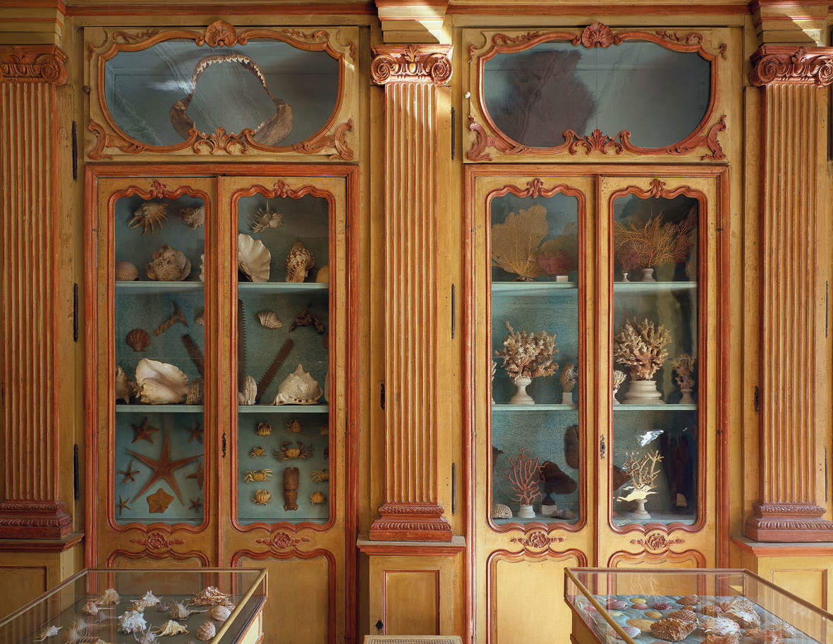 Massimo Listri, Gabinete de historia natural de Clément Lafaille, Museo de Historia Natural de La Rochelle (2011) Massimo Listri, Gabinete de historia natural de Clément Lafaille, Museo de Historia Natural de La Rochelle (2011)