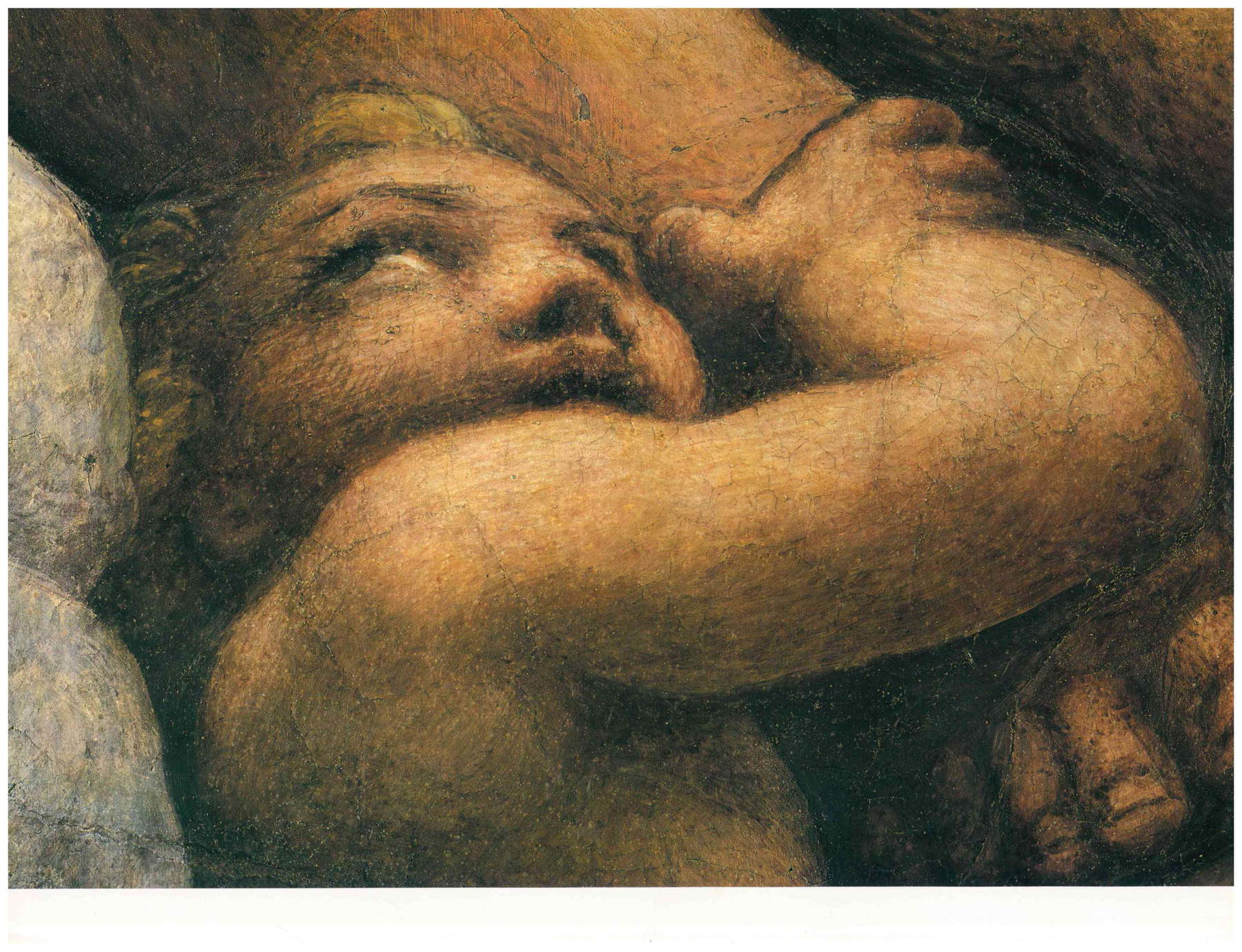 Putto sotto Taddeo Putto sotto Taddeo
