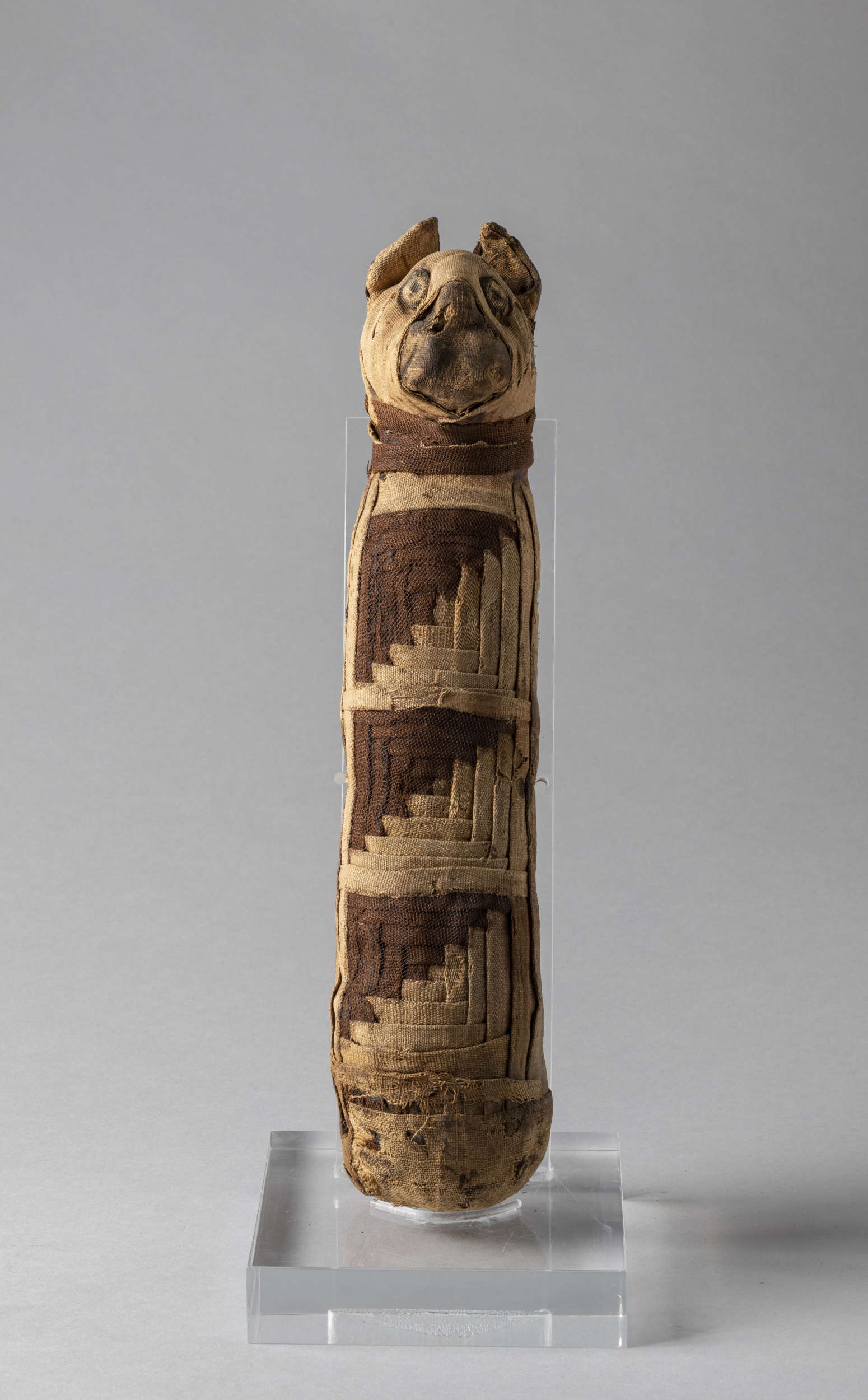 Momie de chat (période romaine ; matière organique, lin, 34,3 x 7 x 6,3 cm ; Turin, Musée égyptien, inv. 2349/6)