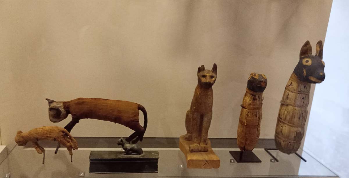 Momies de chats au Louvre