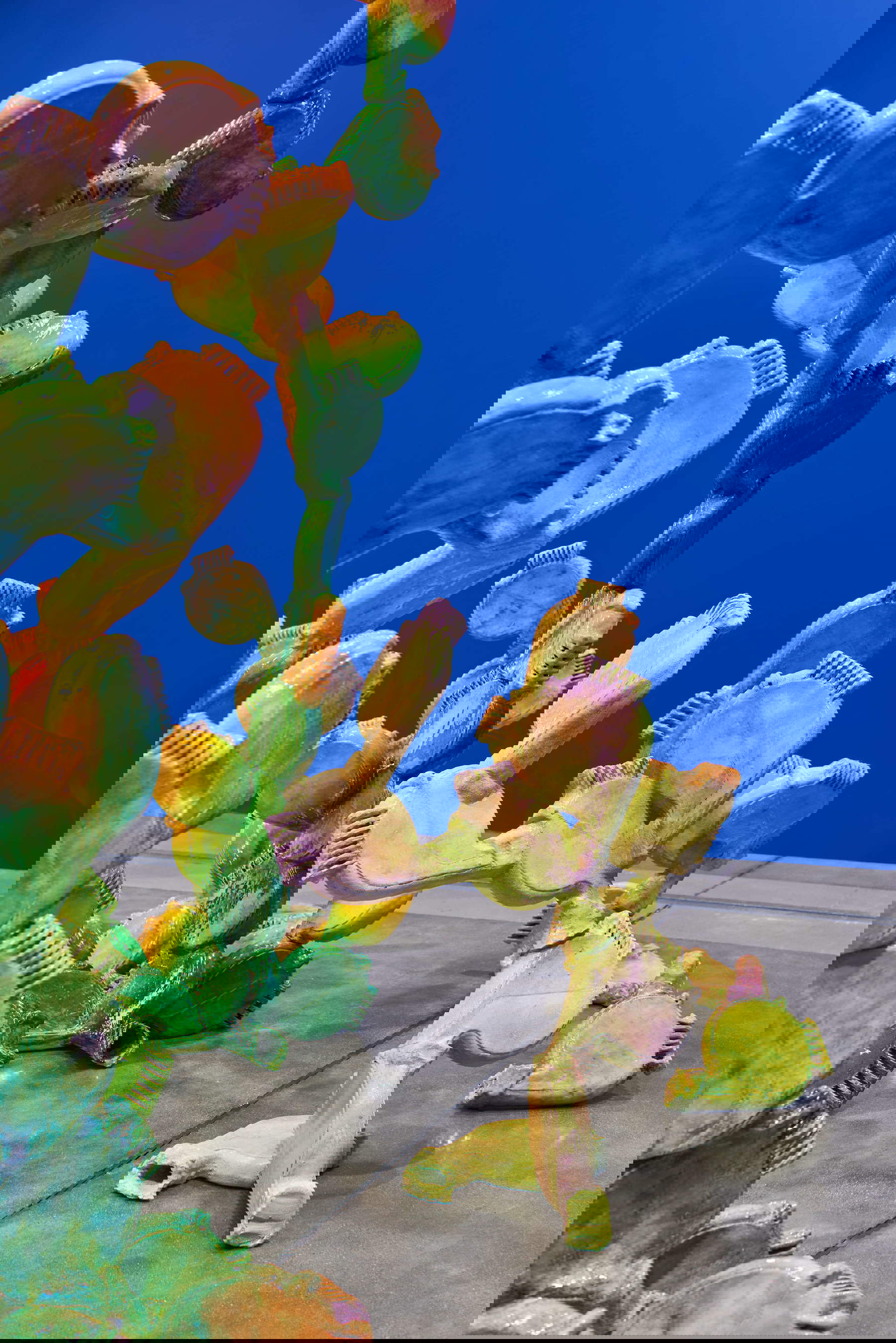 Luca Staccioli, Kit multifonctionnel de réduction des files d'attente (figues de Barbarie) #4 Luca Staccioli, Kit multifonctionnel de réduction des files d'attente (figues de Barbarie) #4