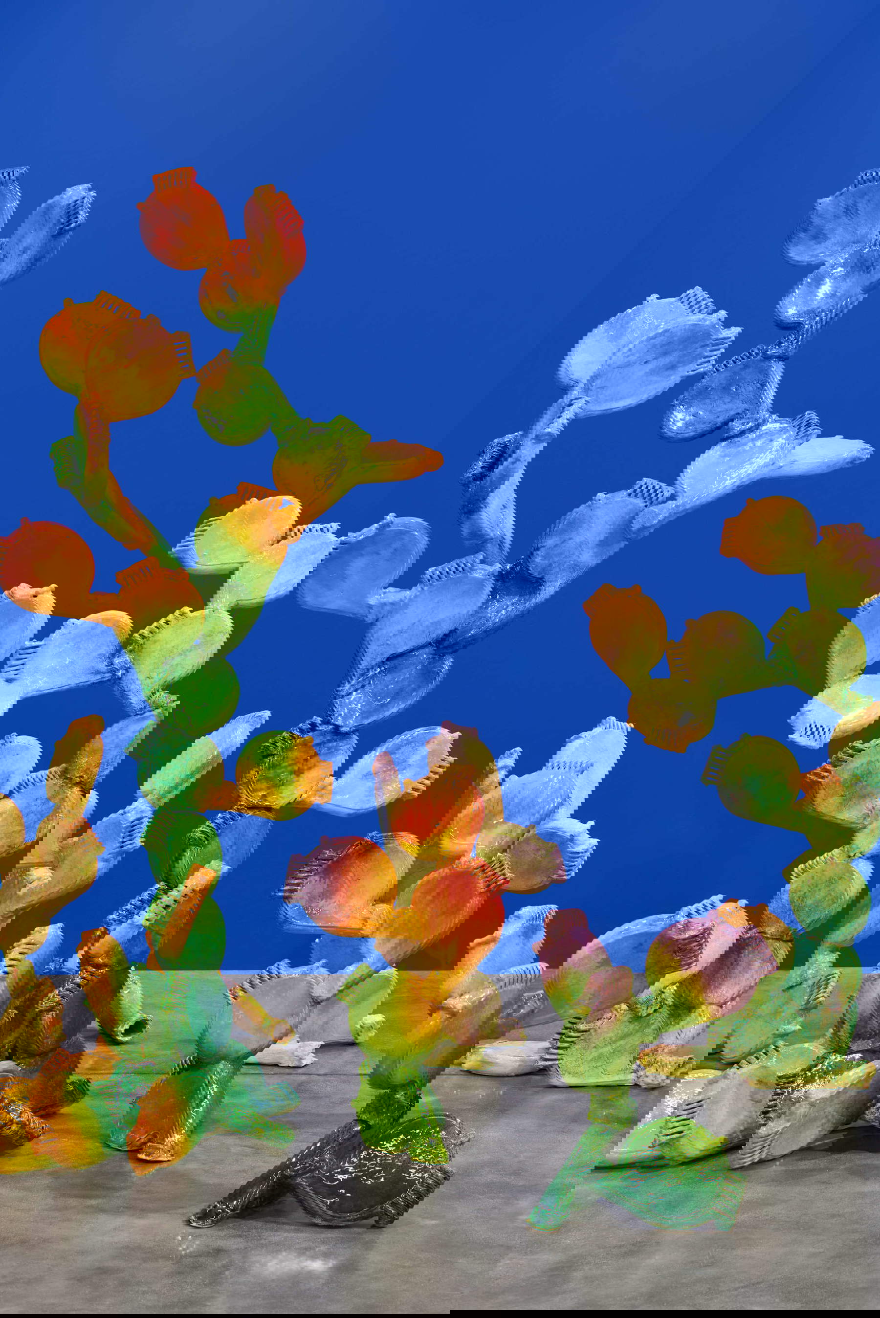 Luca Staccioli, Kit multifonctionnel de réduction des files d'attente (figues de Barbarie) #4 Luca Staccioli, Kit multifonctionnel de réduction des files d'attente (figues de Barbarie) #4