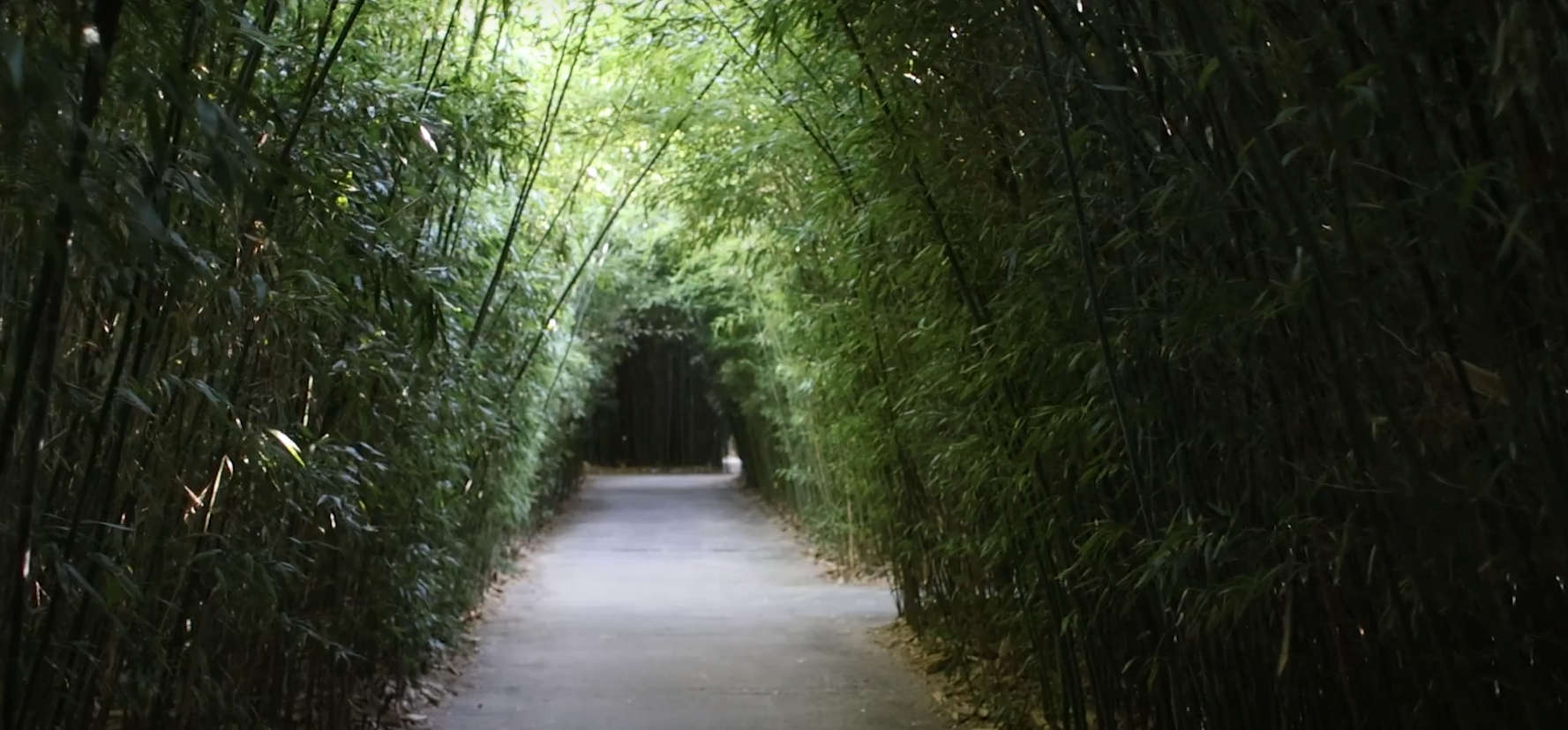 Labirinto della Masone. Foto: Alessandro Pasquali / Danae Projekt