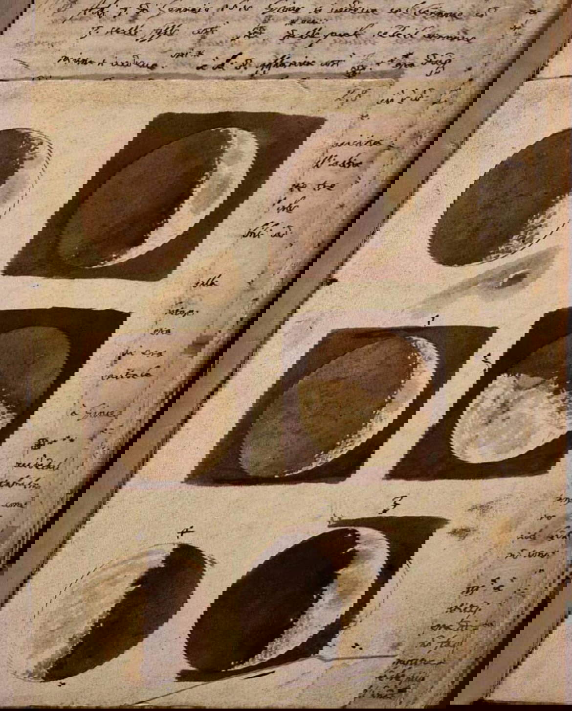 Galileo Galilei, Astronomia. Osservazioni delle fasi lunari, novembre-dicembre 1609 (1609; manoscritto cartaceo autografo, disegni in acquerello su carta, 33 x 23 x 1,7 cm; Firenze, Biblioteca Nazionale Centrale, ms. Galileiano 48) Galileo Galilei, Astronomia. Osservazioni delle fasi lunari, novembre-dicembre 1609 (1609; manoscritto cartaceo autografo, disegni in acquerello su carta, 33 x 23 x 1,7 cm; Firenze, Biblioteca Nazionale Centrale, ms. Galileiano 48)