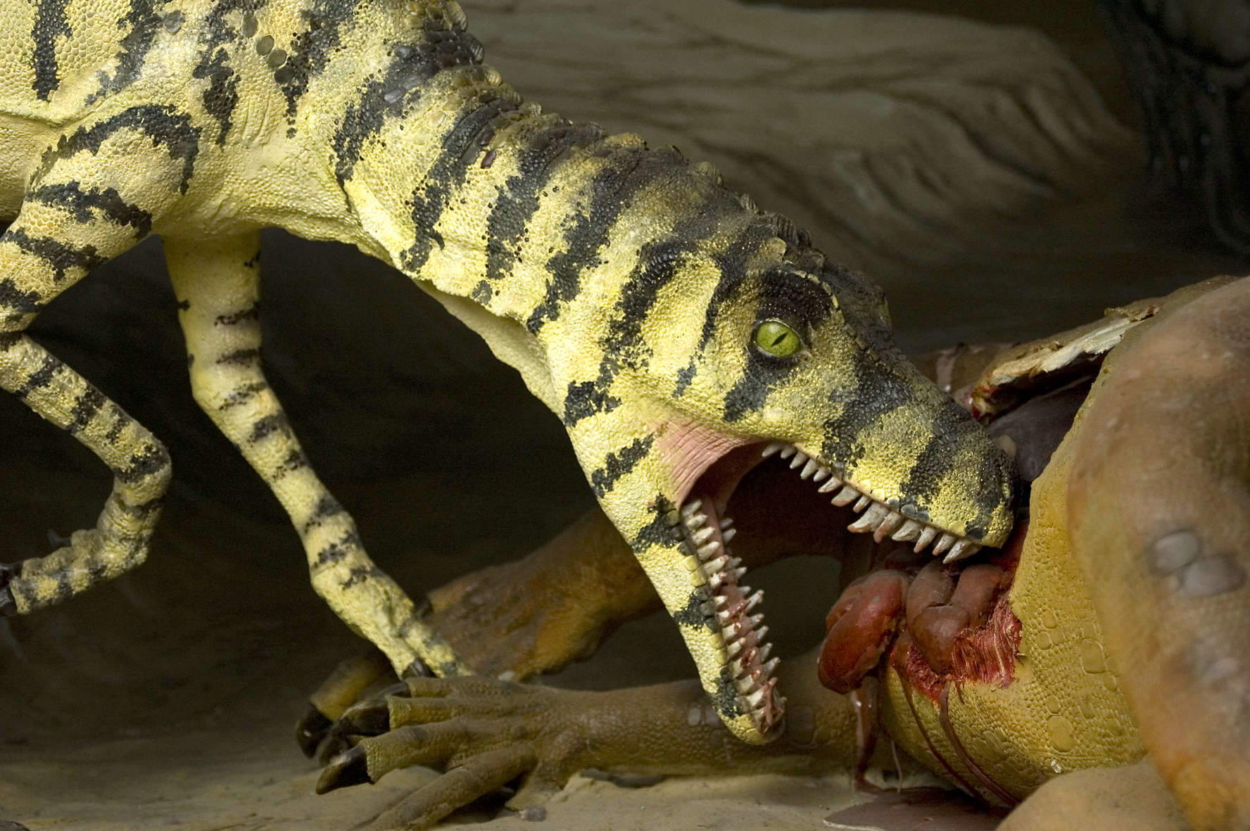 De la galerie des ères géologiques, un diorama avec des dinosaures De la galerie des ères géologiques, un diorama avec des dinosaures