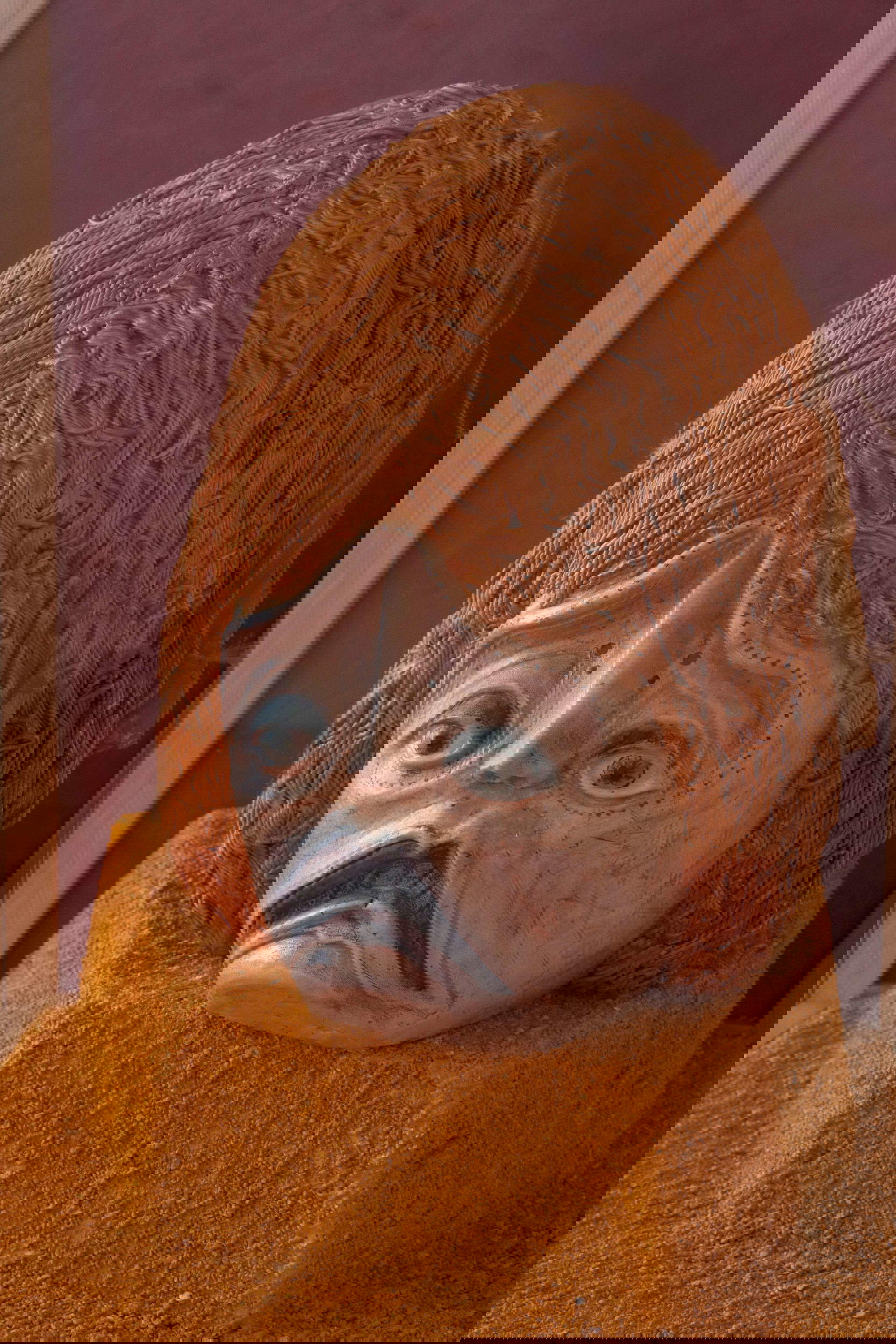 Instalación de la exposición I Am Hymns of the New Temples de Wael Shawky en Venecia, Palazzo Grimani