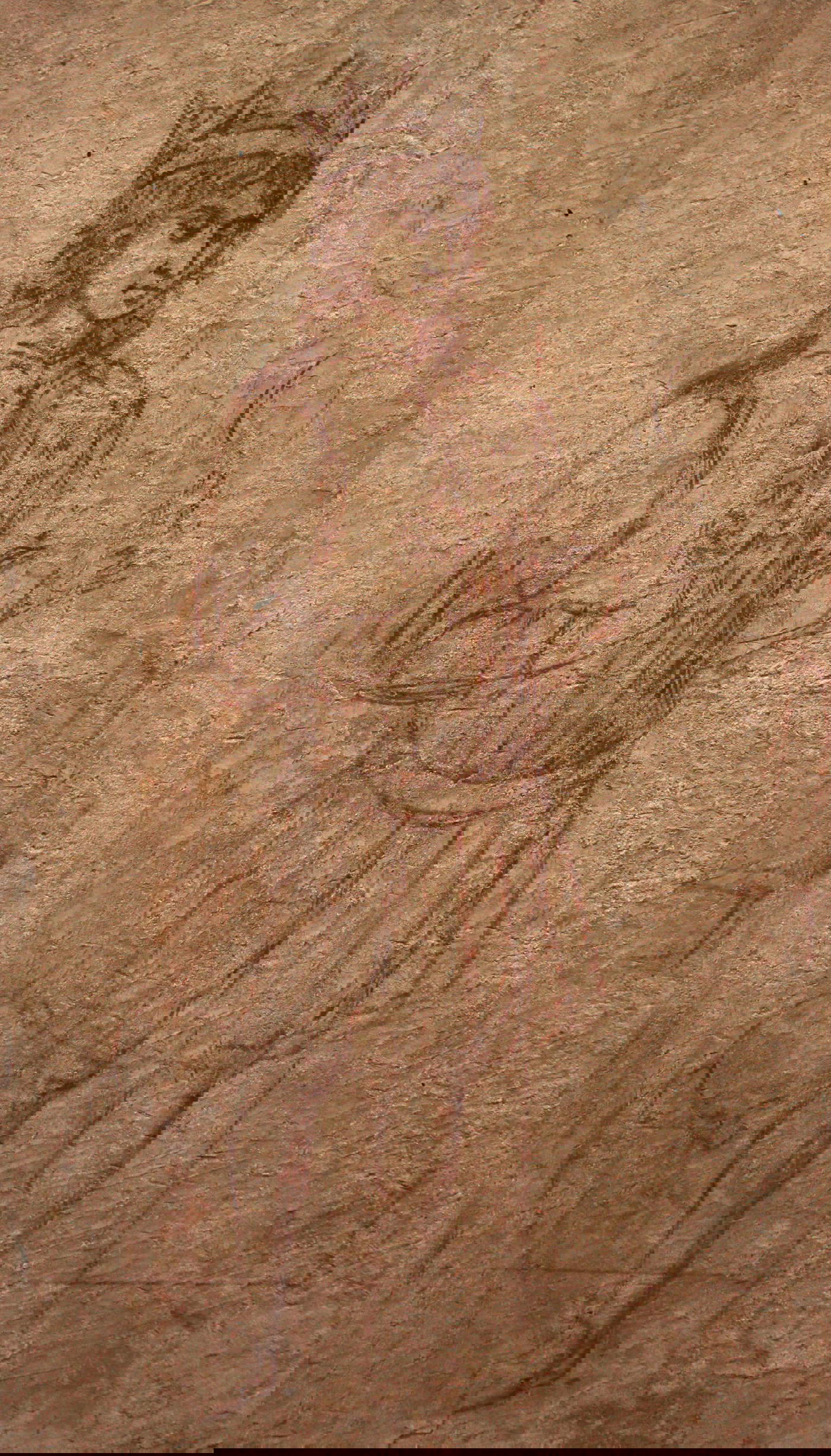 Benozzo Gozzoli, Adoration of the Magi, sinopia Benozzo Gozzoli, Adoration of the Magi, sinopia