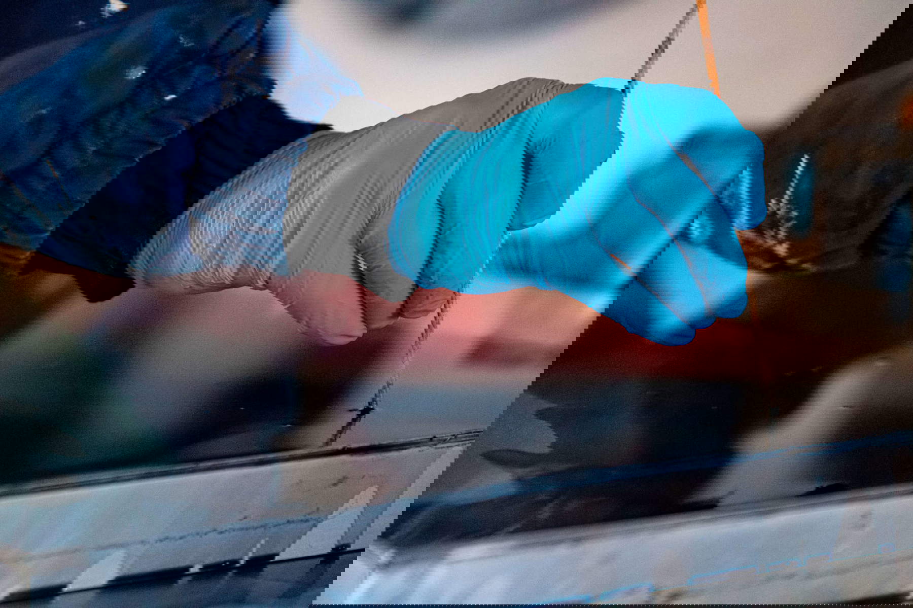 Maurizio Faleni at work on his works