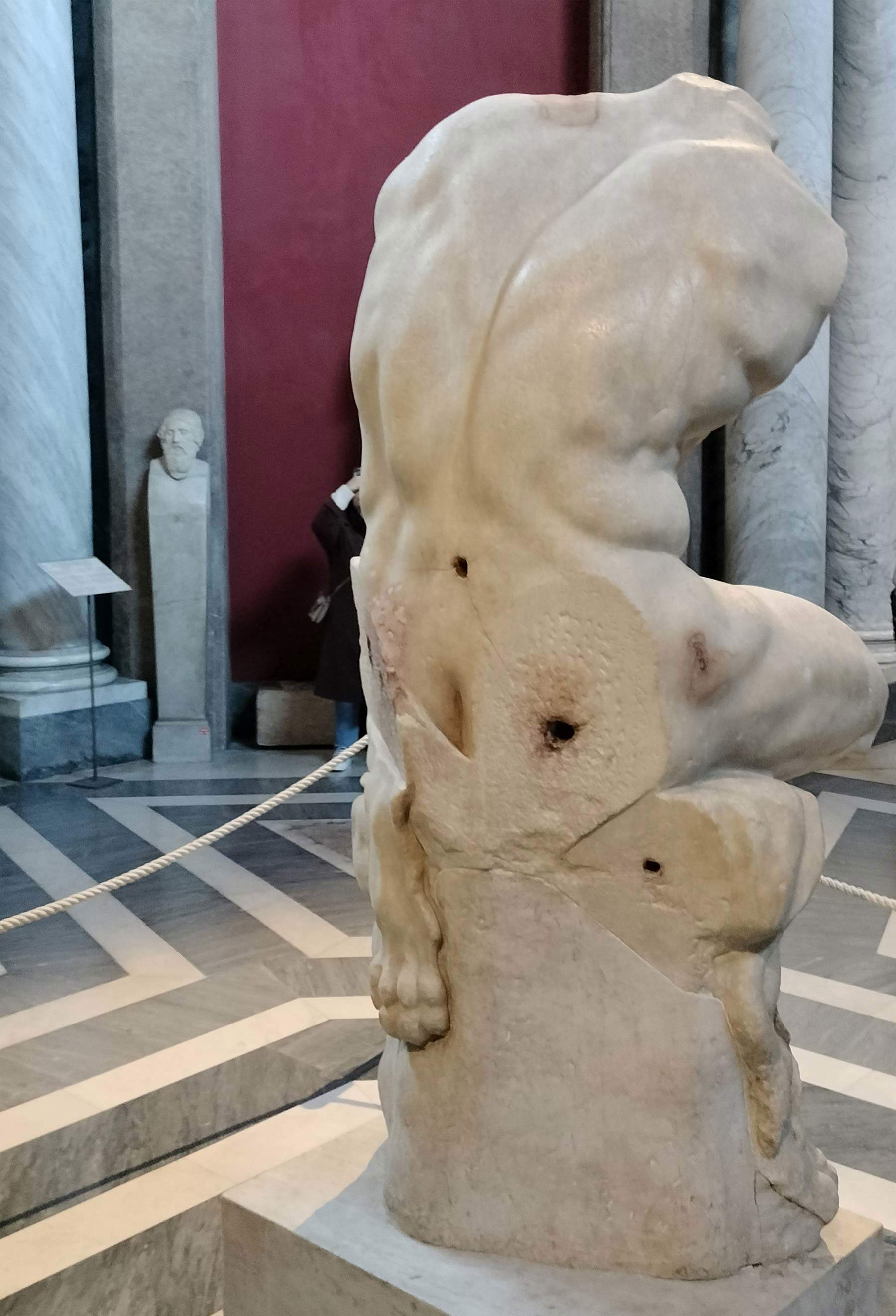 Belvedere Torso Belvedere Torso