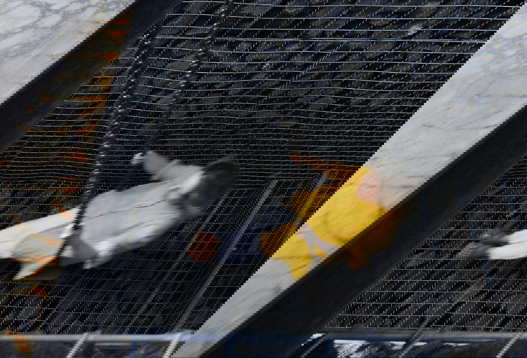 Mona Hatoum, Full Swing (2024; installation at the Bruges Triennale). Photo: Filip Dujardin