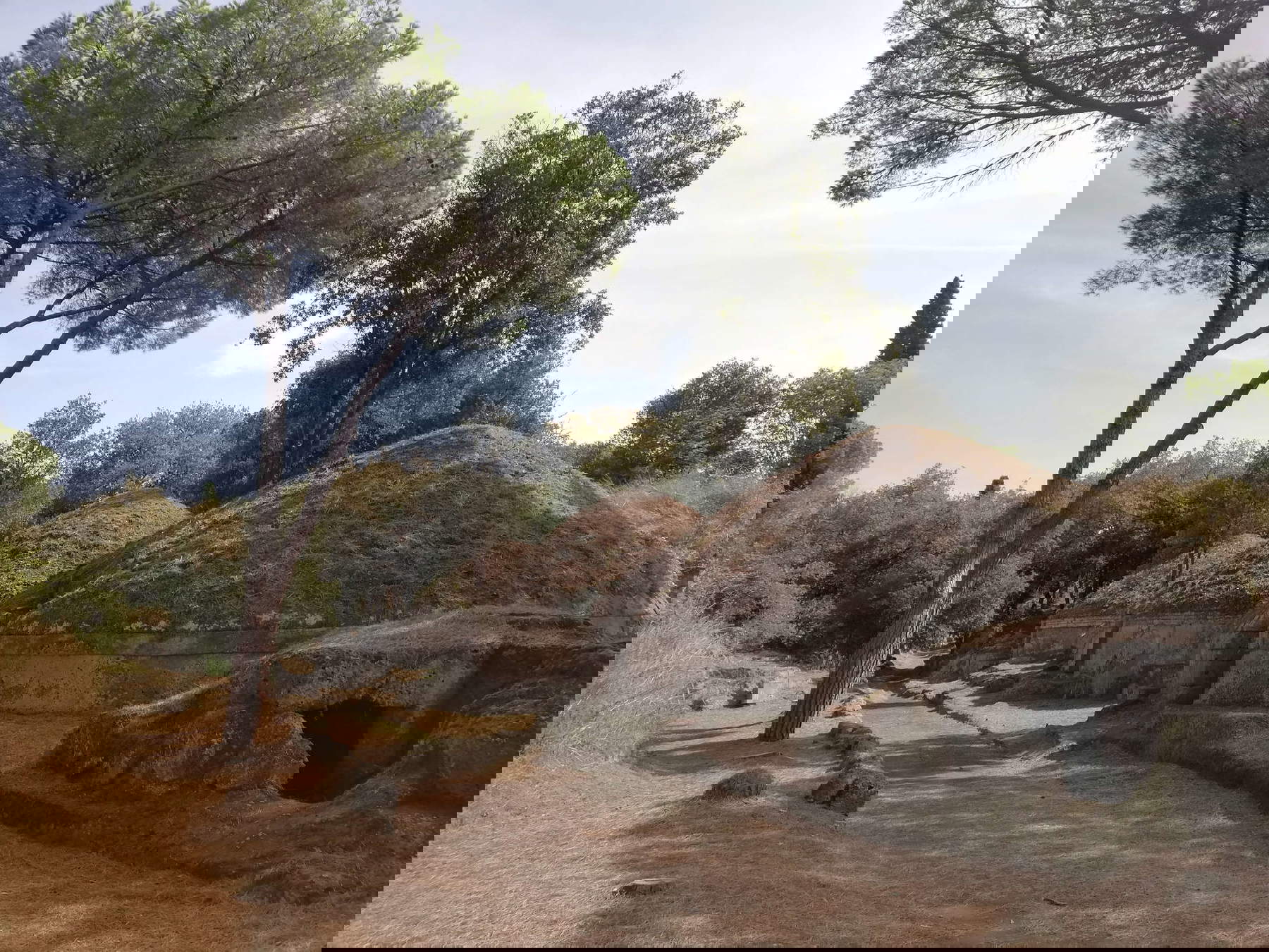 Die Nekropole Banditaccia