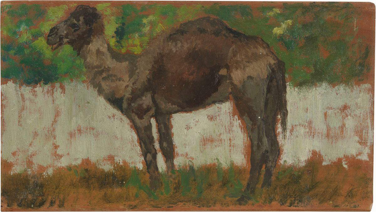 Giovanni Fattori, Dromedary at San Rossore (July 1905; oil on panel, 15 x 24 cm; Private Collection, M1381) Giovanni Fattori, Dromedary at San Rossore (July 1905; oil on panel, 15 x 24 cm; Private Collection, M1381)