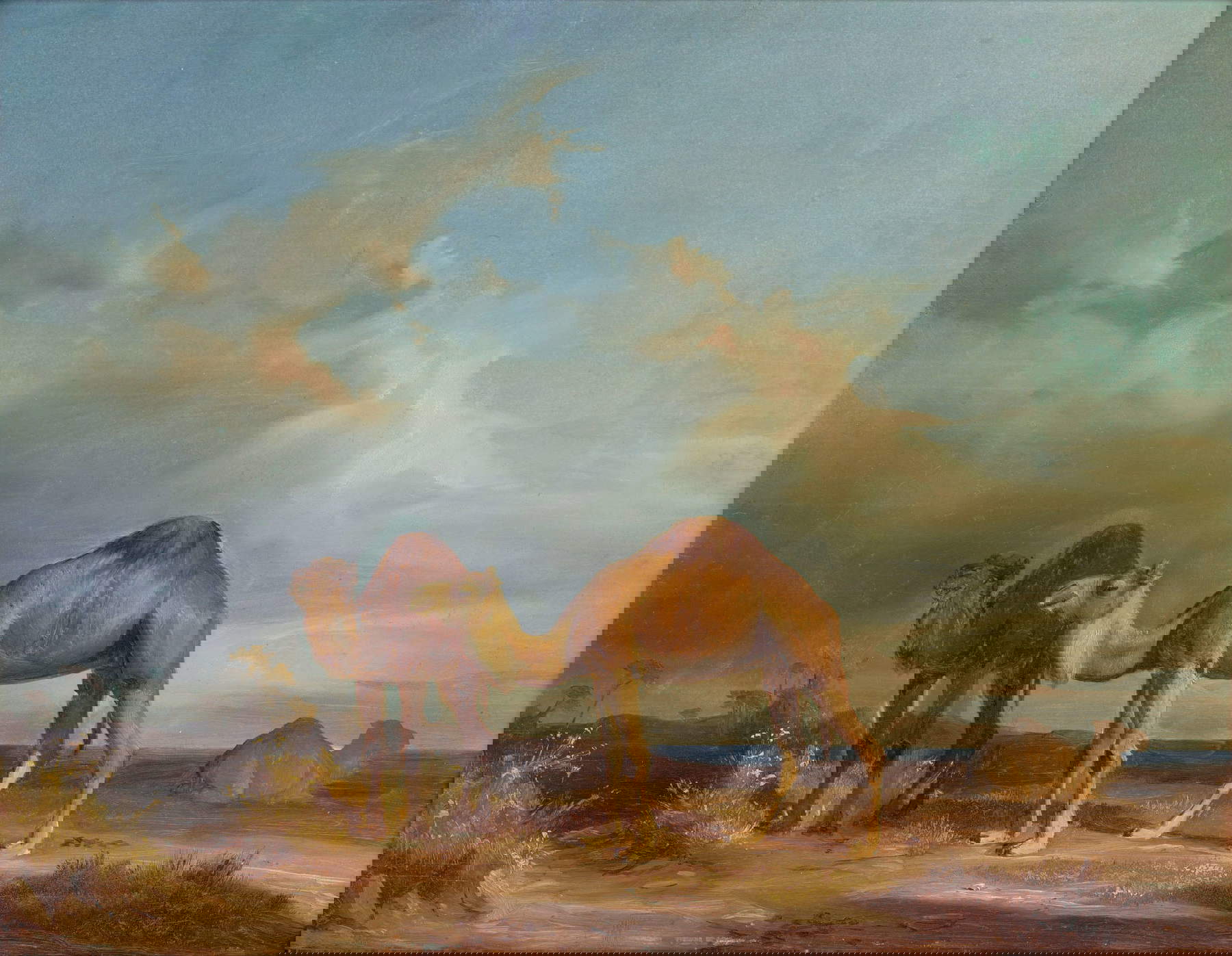 K&aacute;roly Mark&oacute; el Viejo, Camellos en San Rossore (1835; &oacute;leo sobre tabla, 37,2 x 47,2 cm; Bratislava, Galería Nacional de Eslovaquia)