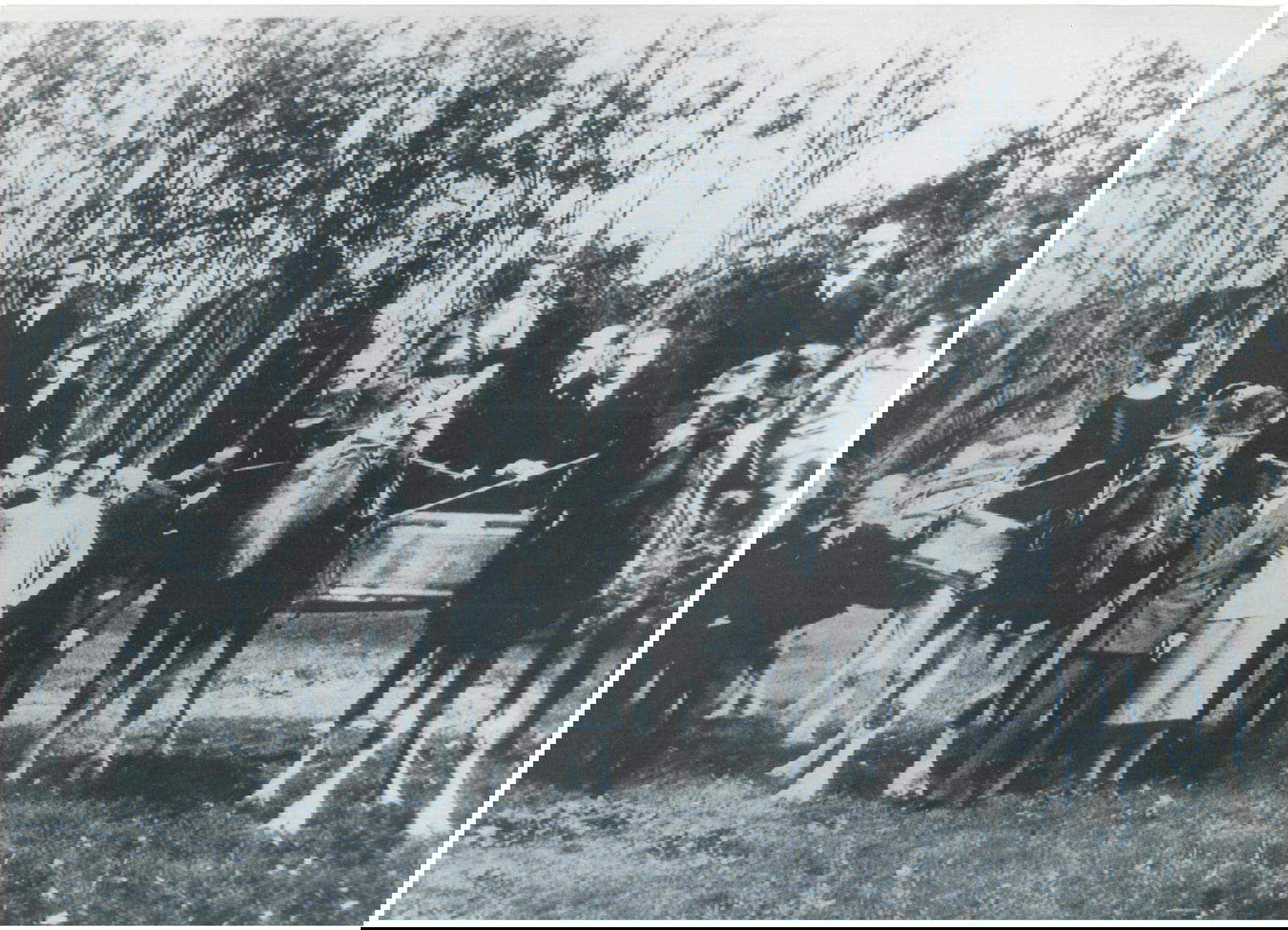 Los Saboya montan dromedarios en el parque de San Rossore