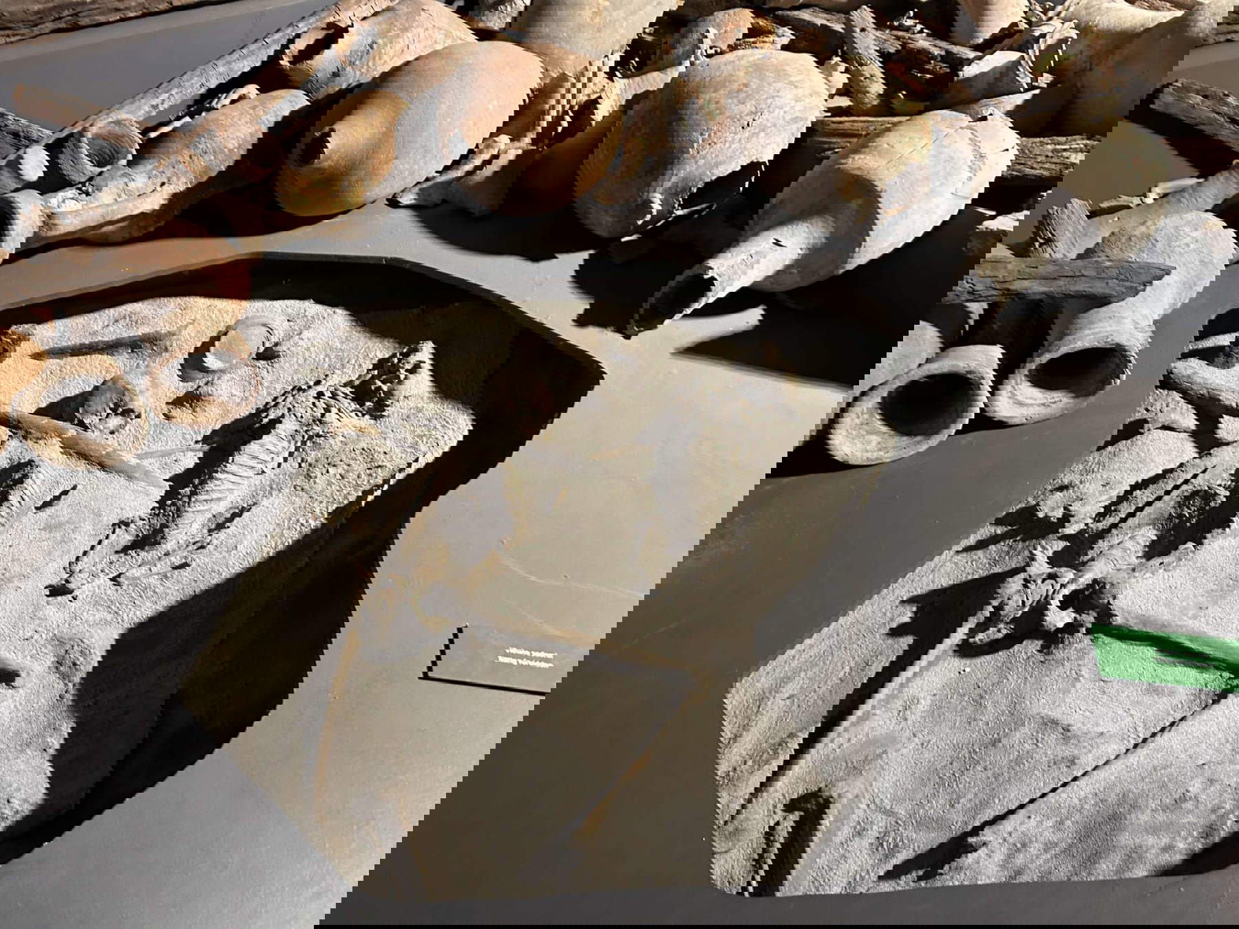 Überreste des Seemanns und seines Hundes, die von der Flut mitgerissen wurden