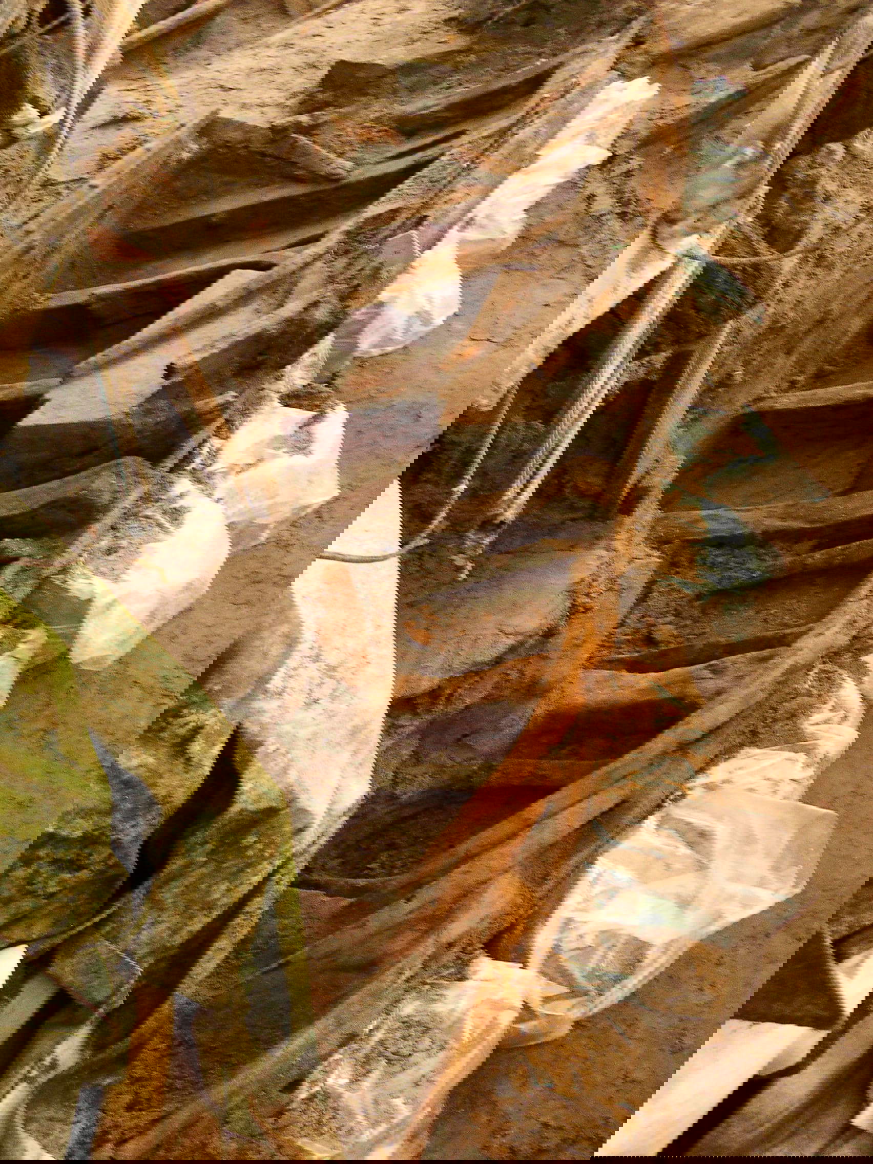 Die Ausgrabung. Foto: Archäologie-Kooperative