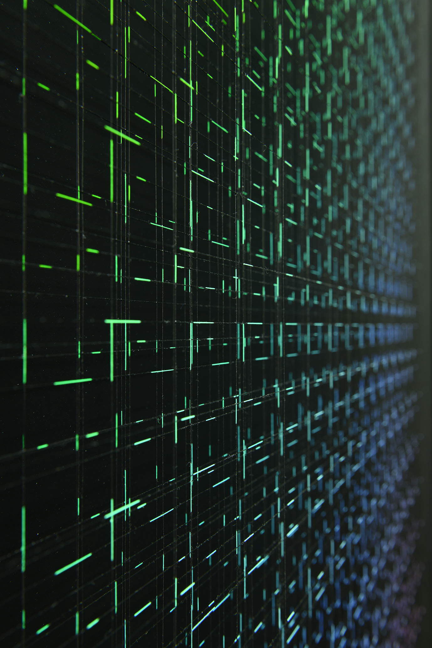 Paolo Cavinato, Tails, Detail (2023; Emaille und Acryl auf Fluorkohlenstoffdraht, Rahmen aus Holz und schwarzem Glanzlaminat, interne Rahmen aus lackiertem Holz und Stahl, Sockel aus lackiertem Holz, außen schützendes Museumsglas, 112 x 83 x 8 cm)