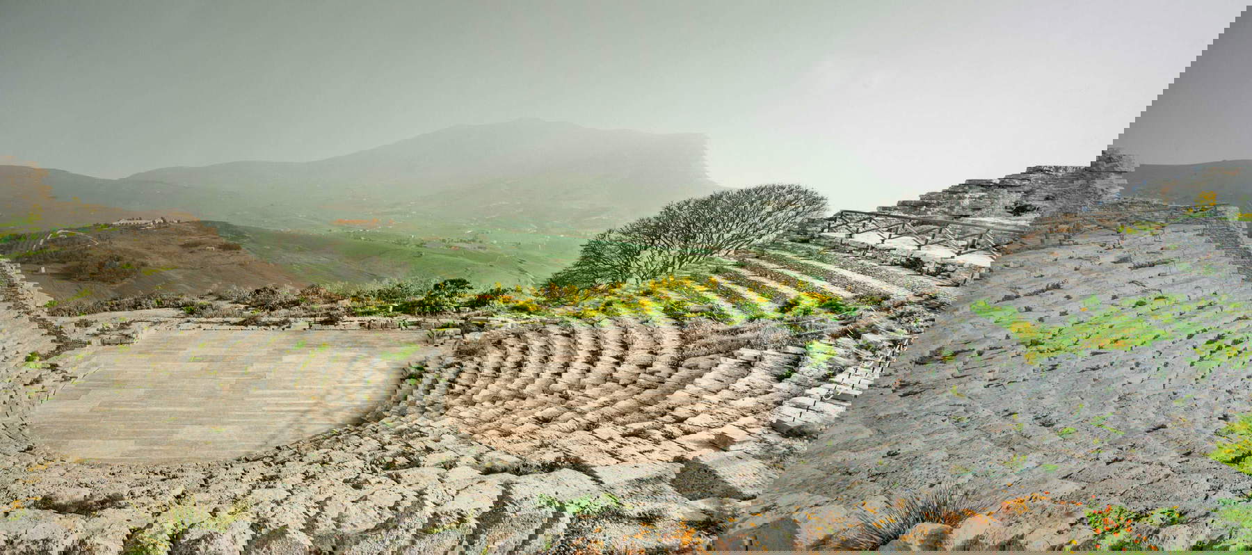 Patrizia Musso, Teatro Segesta Patrizia Musso, Teatro Segesta