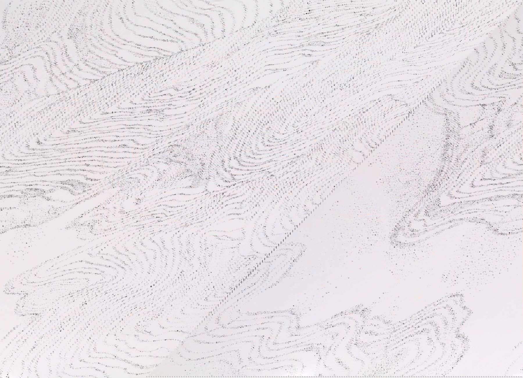 Caterina Sbrana, Mapa geomorfológico (2021-2022; cápsulas de amapola prensadas sobre lienzo de algodón, 220 x 297 cm). Foto: Diego Barsuglia Caterina Sbrana, Mapa geomorfológico (2021-2022; cápsulas de amapola prensadas sobre lienzo de algodón, 220 x 297 cm). Foto: Diego Barsuglia
