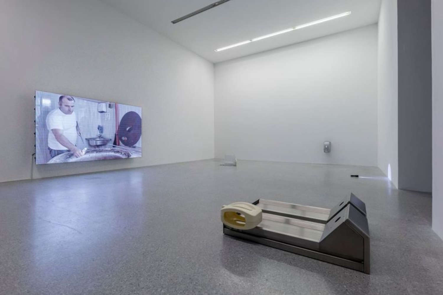 Obras de Raphael Pohl. Foto: Luca Guadagnini Obras de Raphael Pohl. Foto: Luca Guadagnini