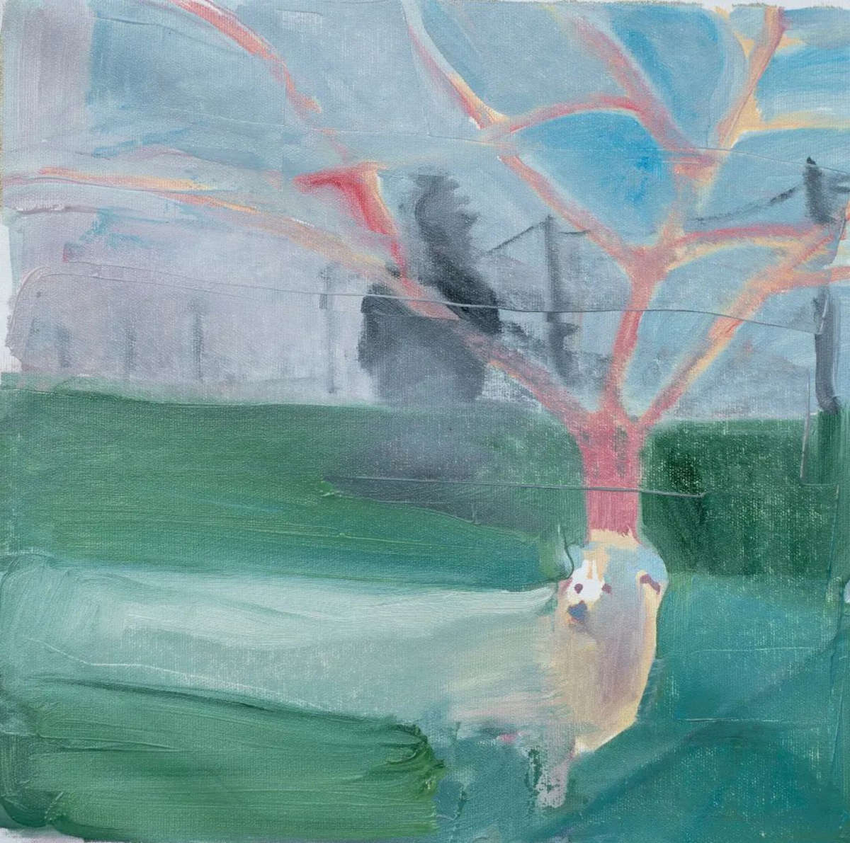 Matteo Pannocchia, Gestreckter Hund (2022; Öl auf Leinwand, 37 x 36 cm)