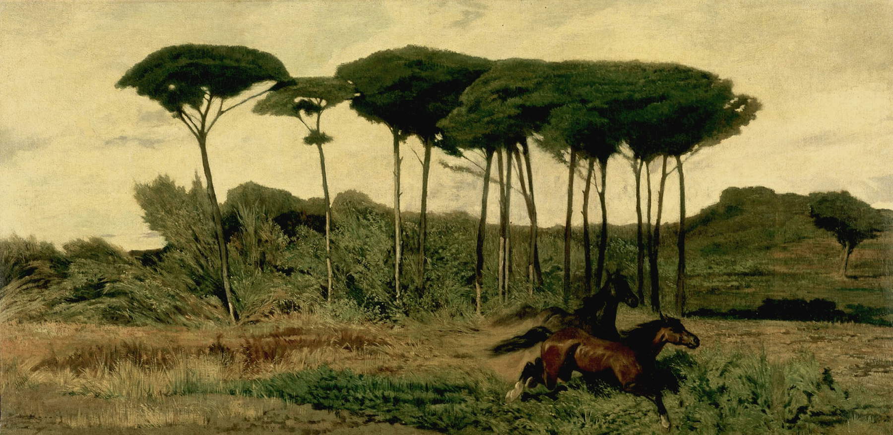 Giovanni Fattori, Chevaux sauvages dans la forêt de pins de Tombolo (vers 1867 ; huile sur toile, 85 x 174 cm ; Florence, Galleria d'Arte Moderna di Palazzo Pitti) Giovanni Fattori, Chevaux sauvages dans la forêt de pins de Tombolo (vers 1867 ; huile sur toile, 85 x 174 cm ; Florence, Galleria d'Arte Moderna di Palazzo Pitti)