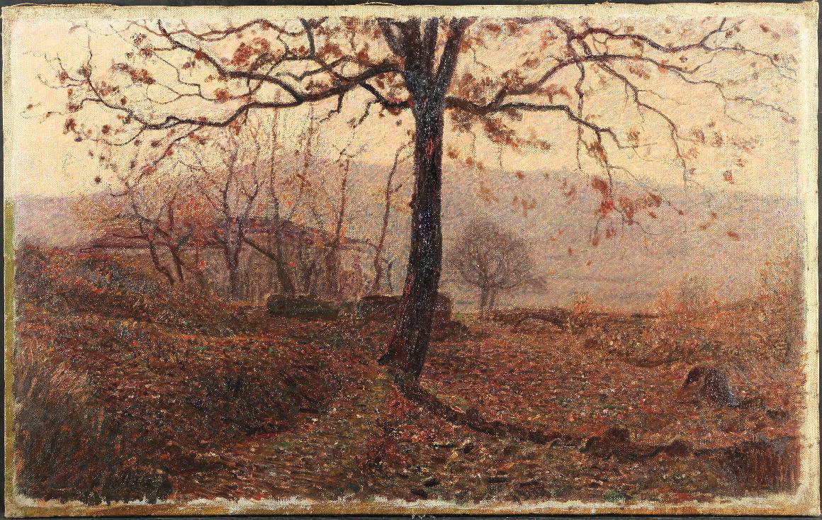 La Clementina de Giuseppe Pellizza da Volpedo (Enrico Gallerie) La Clementina de Giuseppe Pellizza da Volpedo (Enrico Gallerie)