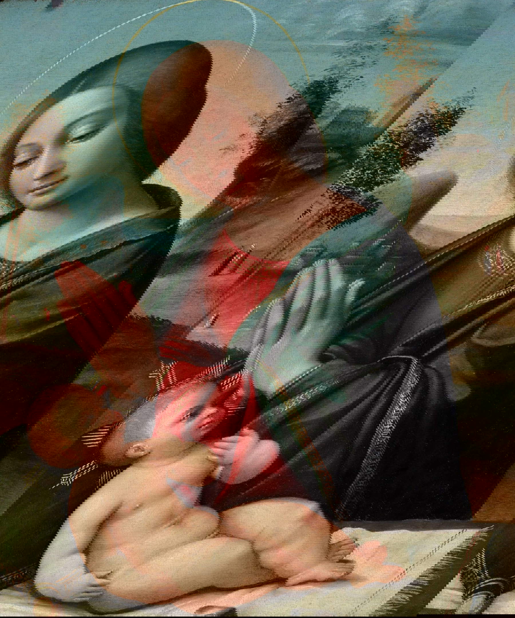 Giovanni Battista Benvenuti detto l'Ortolano, Madonna col Bambino (1515-1520 circa; tavola, 38,2 x 31,2 cm). Presentato da: Agnews