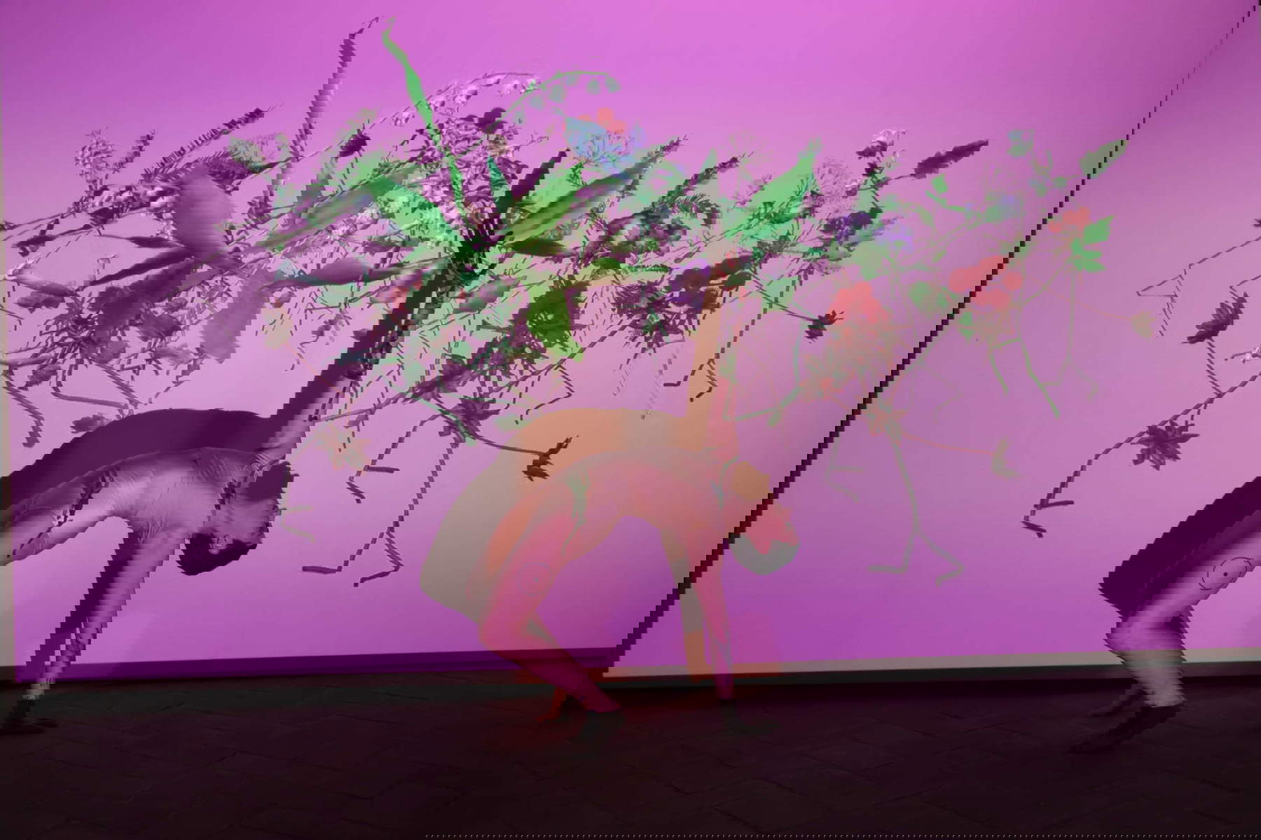 Kamilia Kard, HERbarium dancing for an AI - Love Potion, Torrione Visconteo, Parma. L'opera d'arte all'epoca della AI curata da Chiara Canali, Davide Sarchioni e Rebecca Pedrazzi Kamilia Kard, HERbarium dancing for an AI - Love Potion, Torrione Visconteo, Parma. L'opera d'arte all'epoca della AI curata da Chiara Canali, Davide Sarchioni e Rebecca Pedrazzi