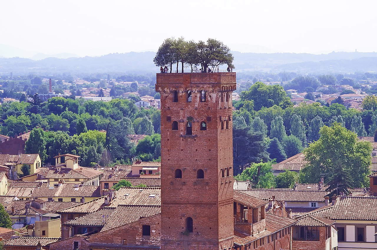 Lucques, Tour Guinigi. Photo : Stefano Sansavini Lucques, Tour Guinigi. Photo : Stefano Sansavini
